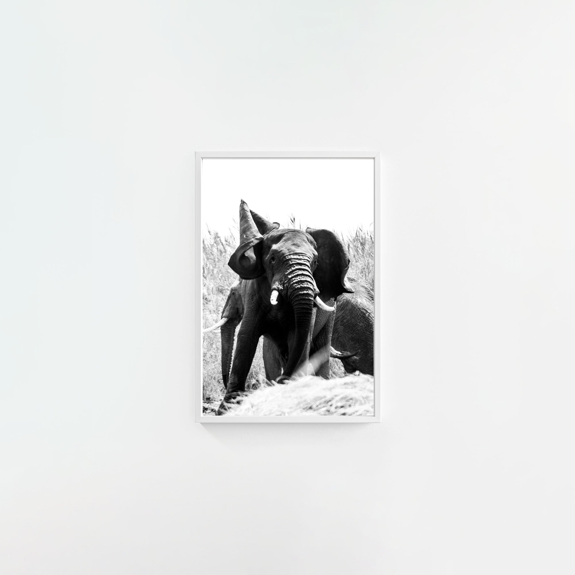 Tembo