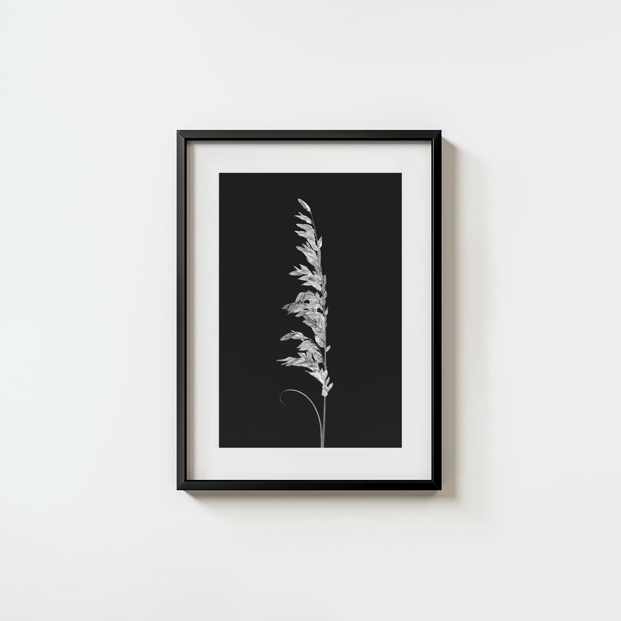 Wild Grain