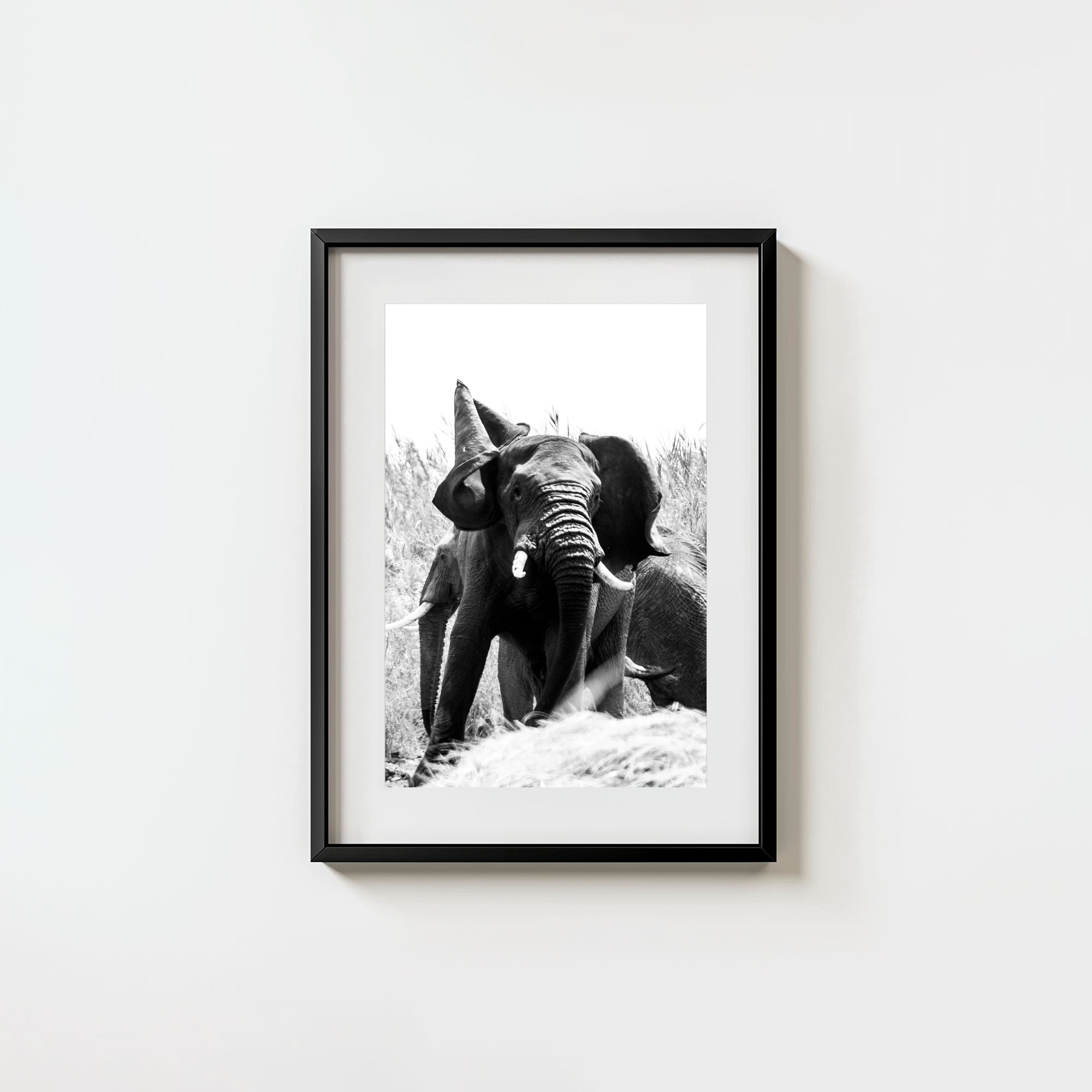Tembo