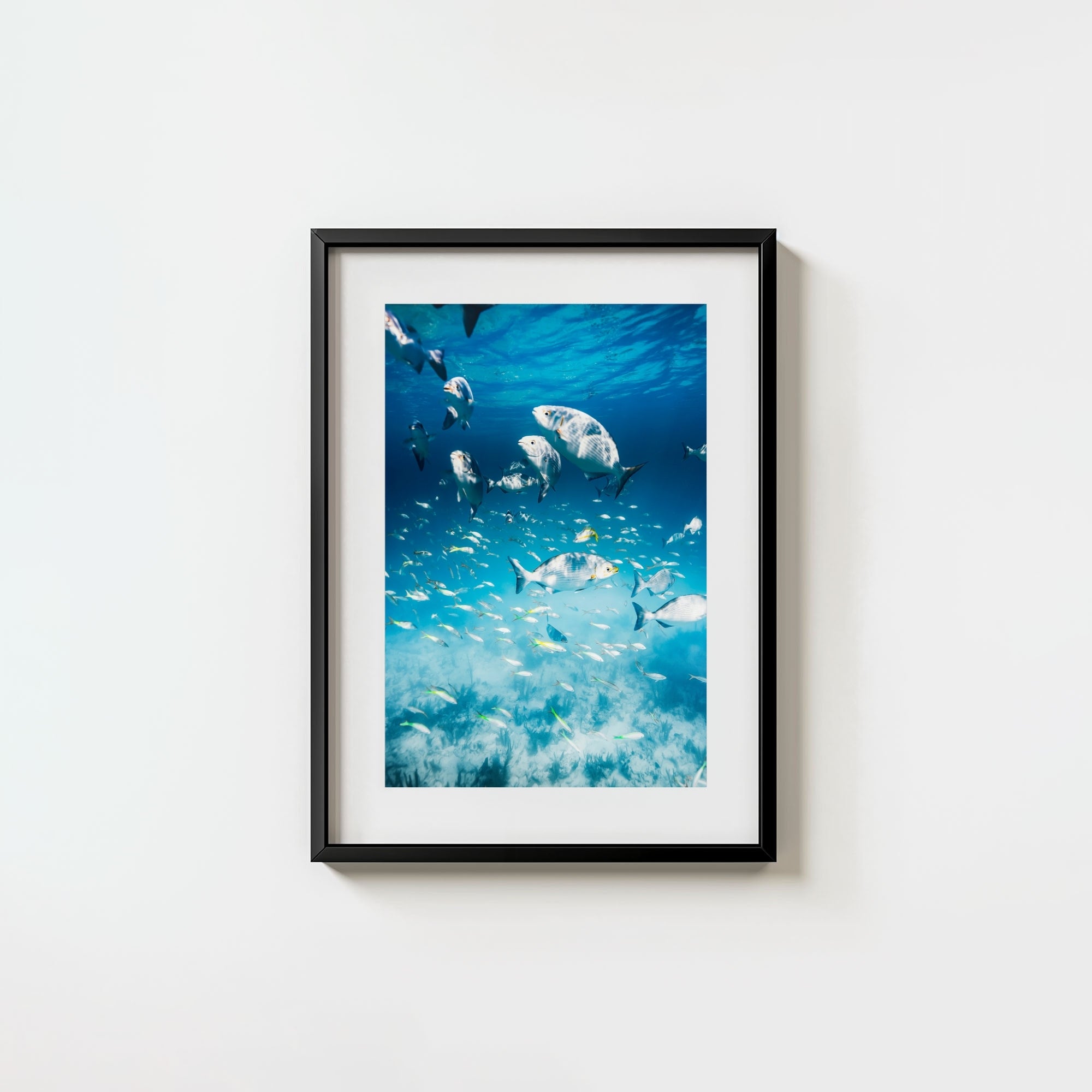 Colorful Current