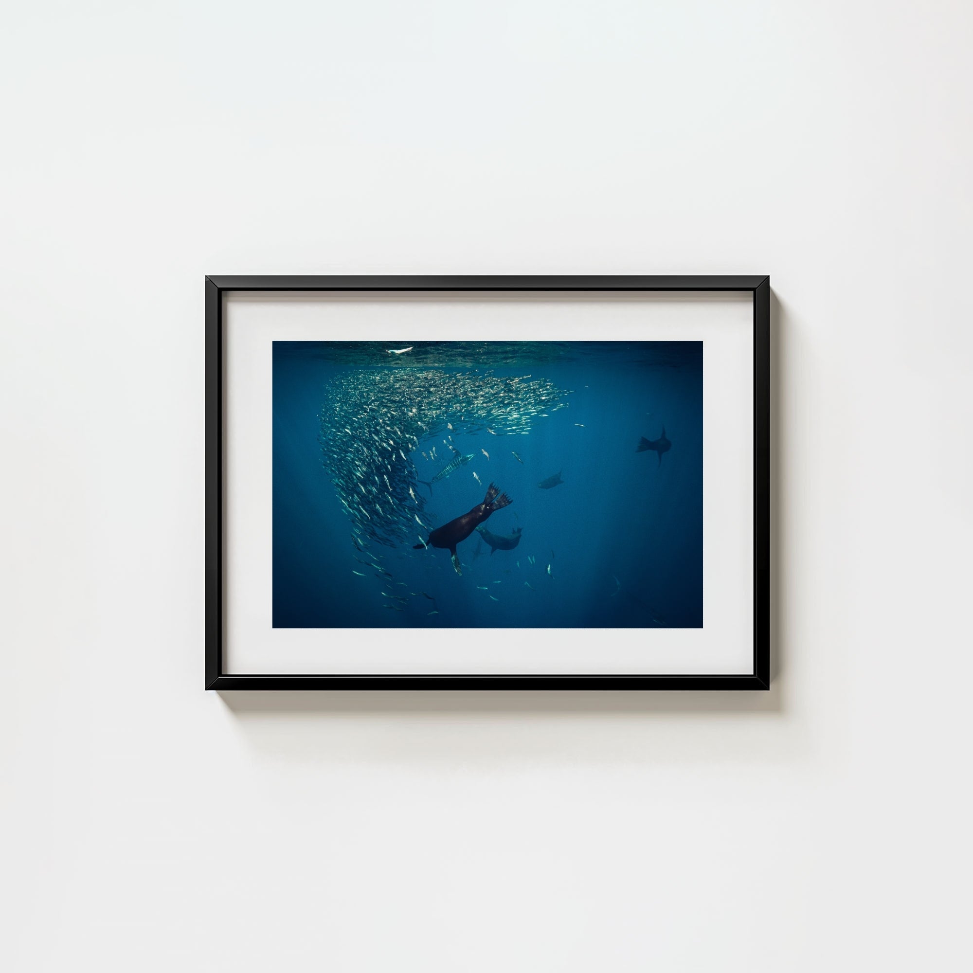 Mag Bay Tango: The Lion & The Spear