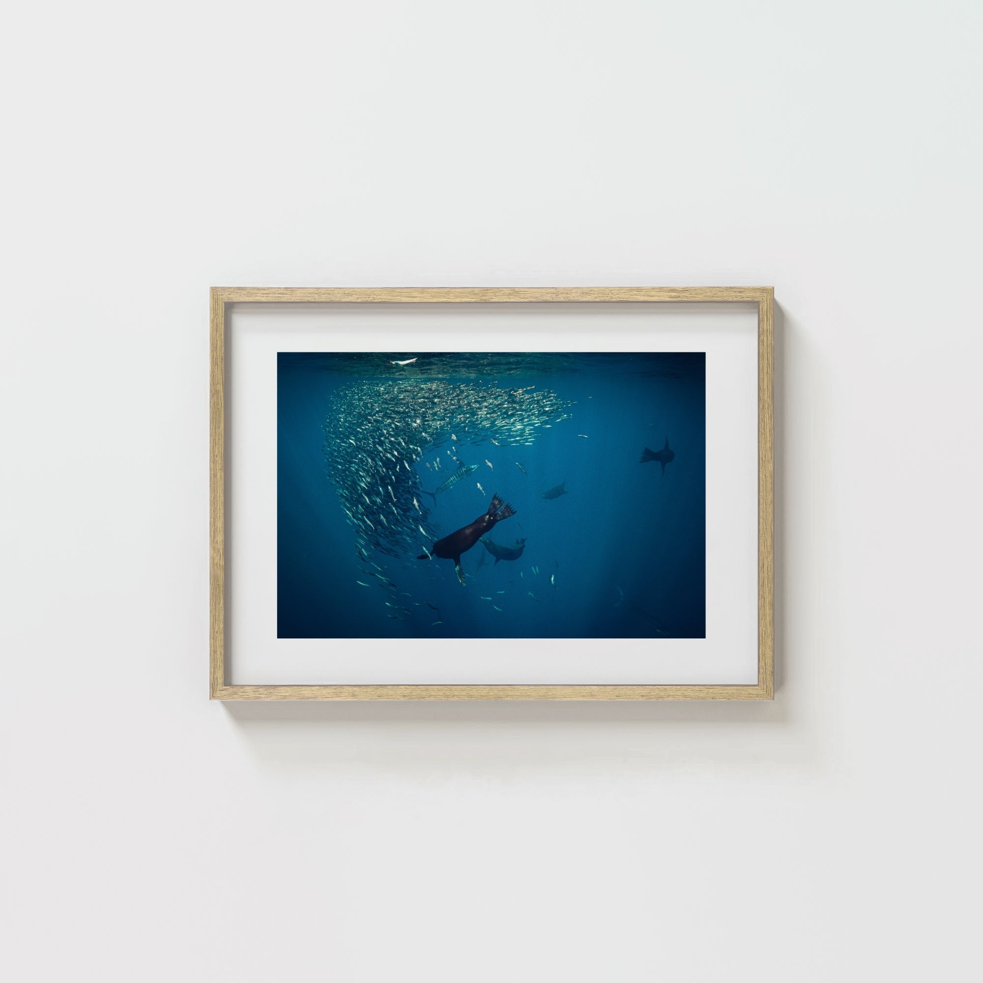 Mag Bay Tango: The Lion & The Spear