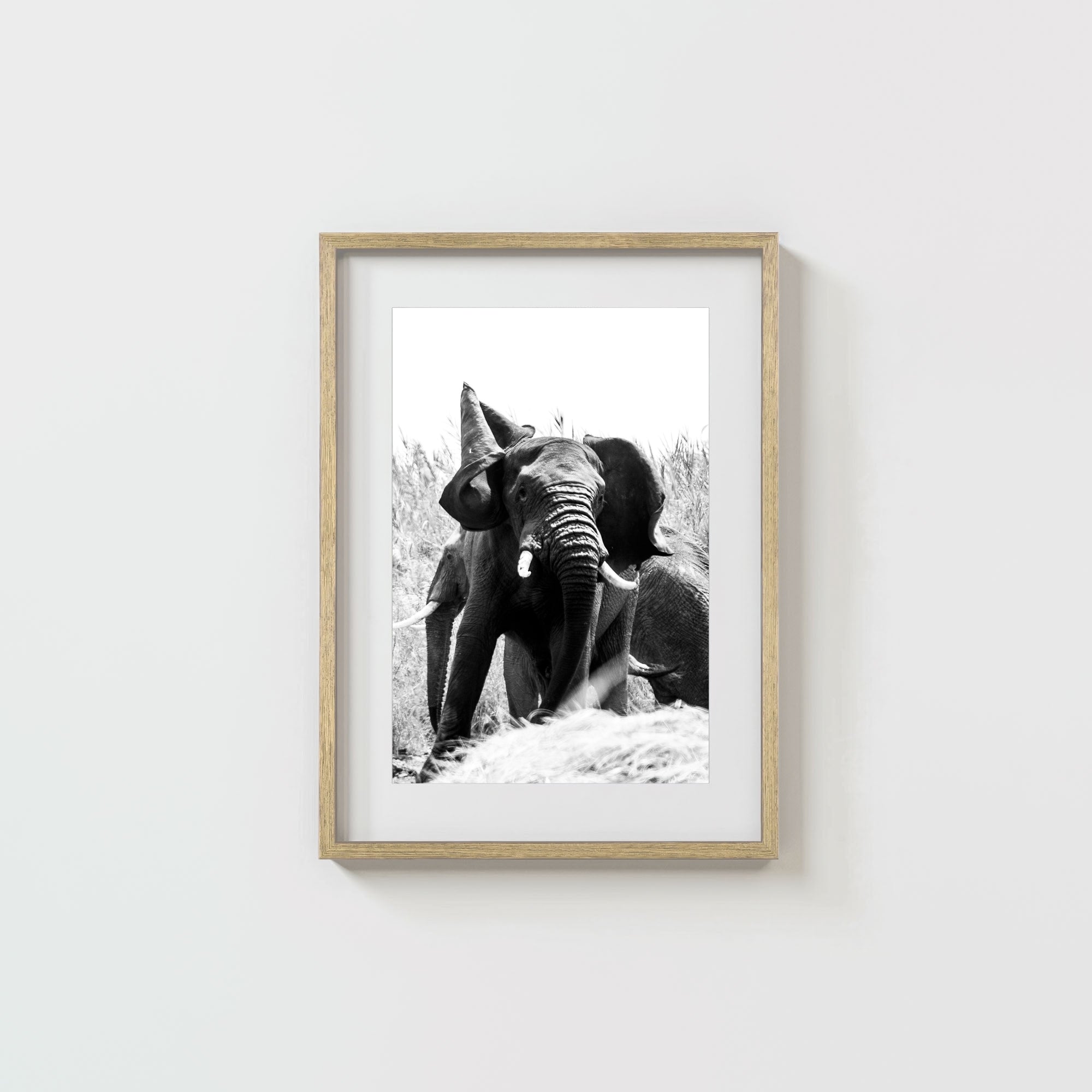 Tembo