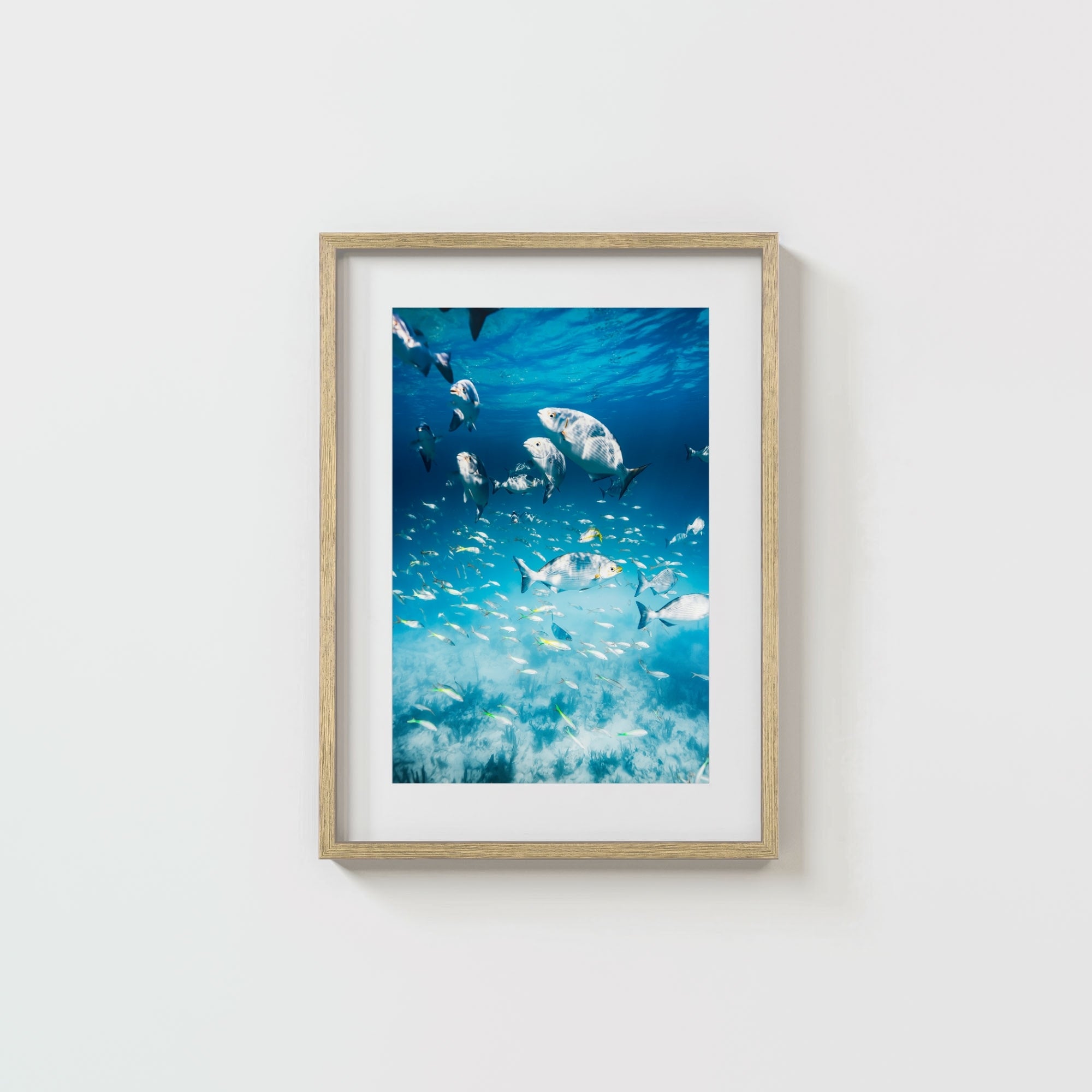 Colorful Current