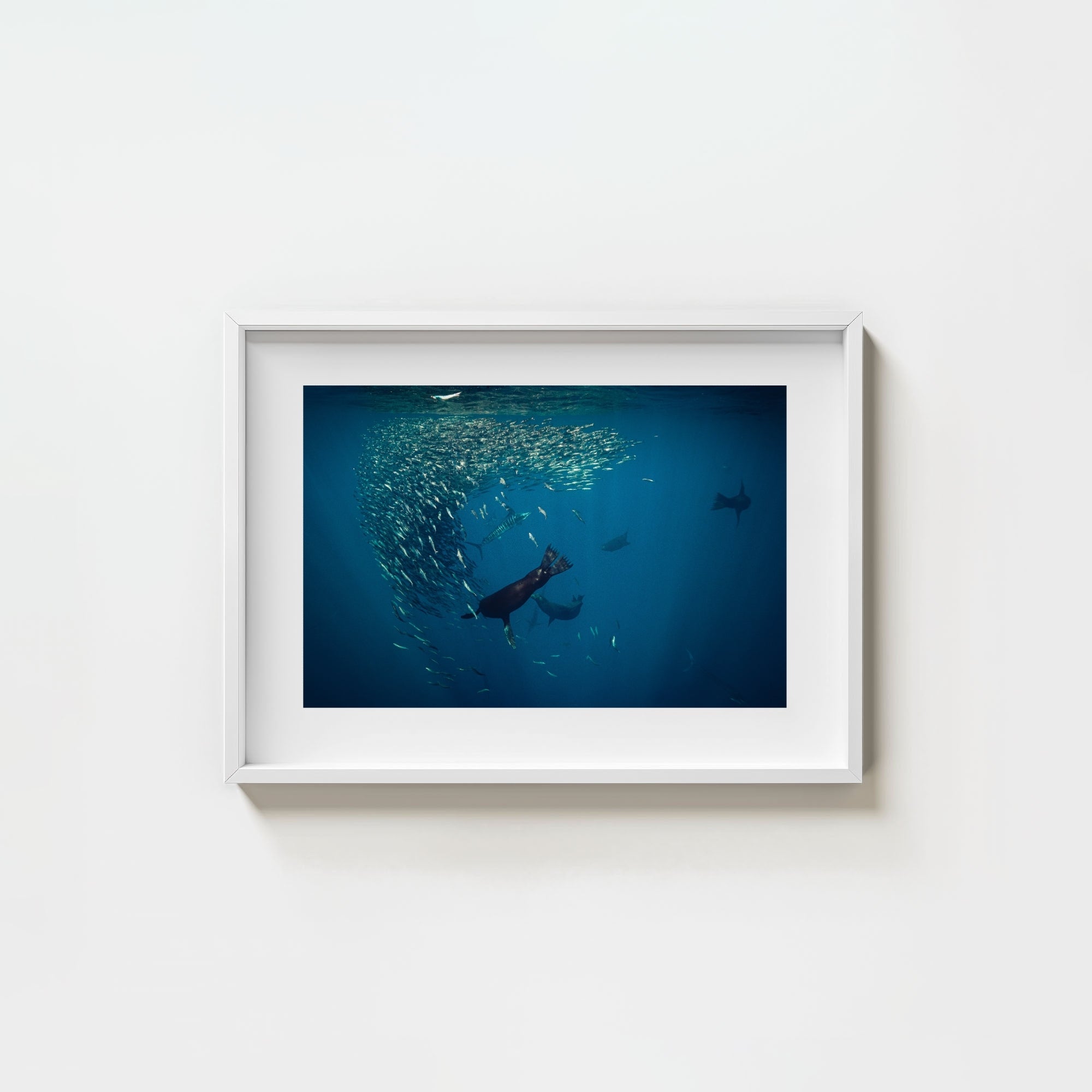 Mag Bay Tango: The Lion & The Spear