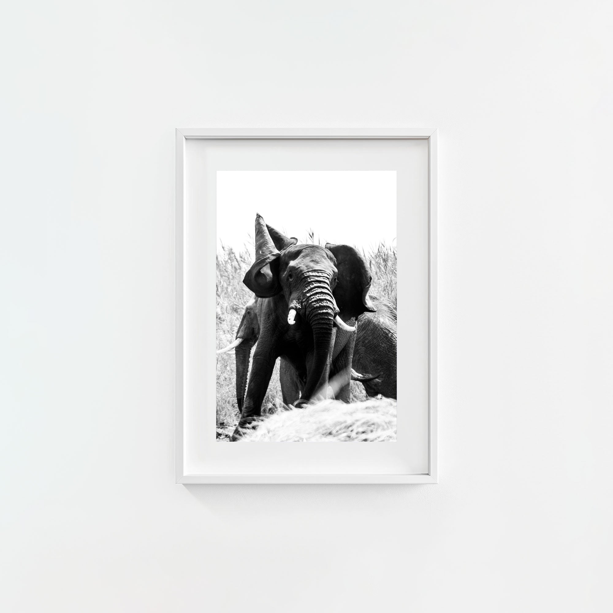Tembo