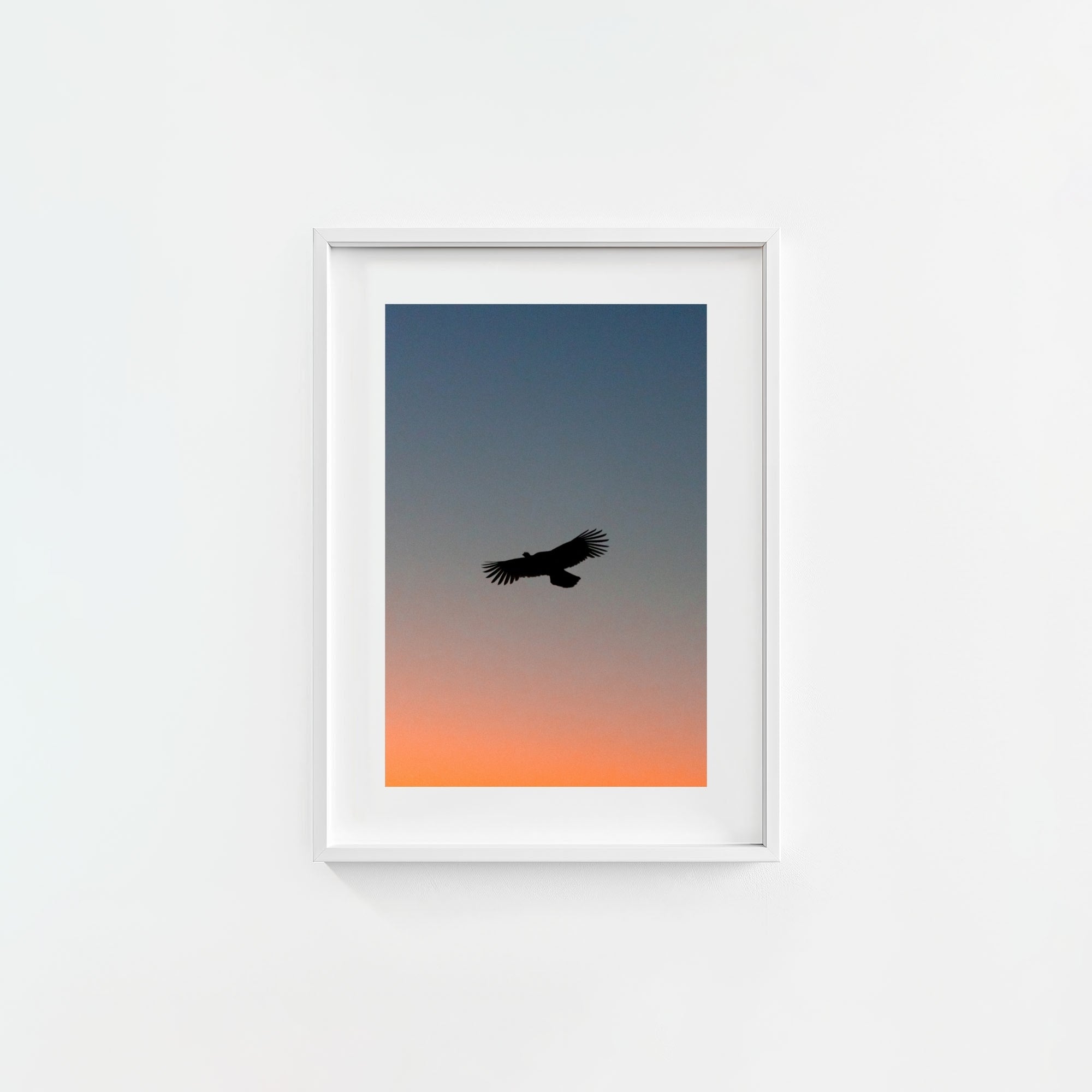 To The Roost