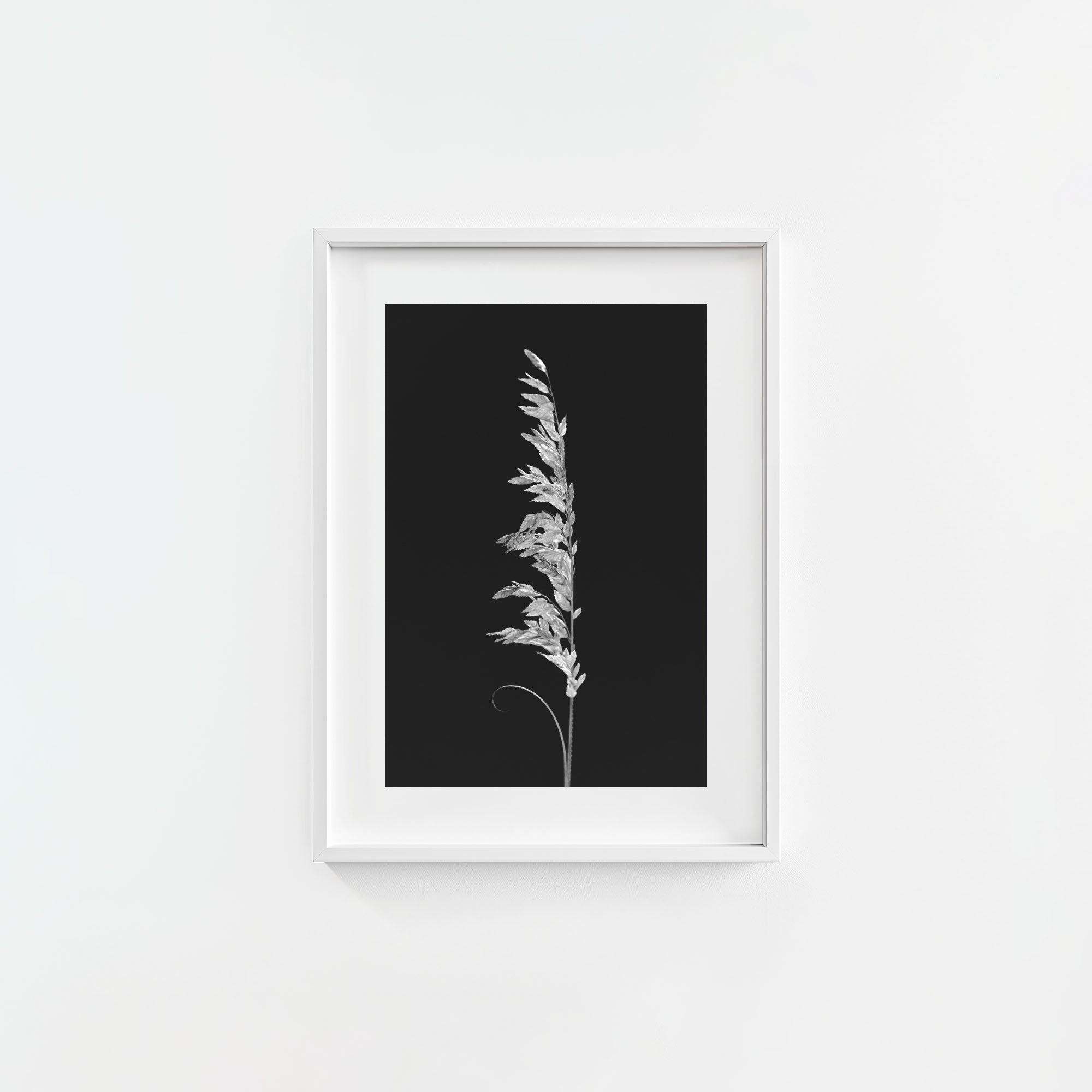 Wild Grain