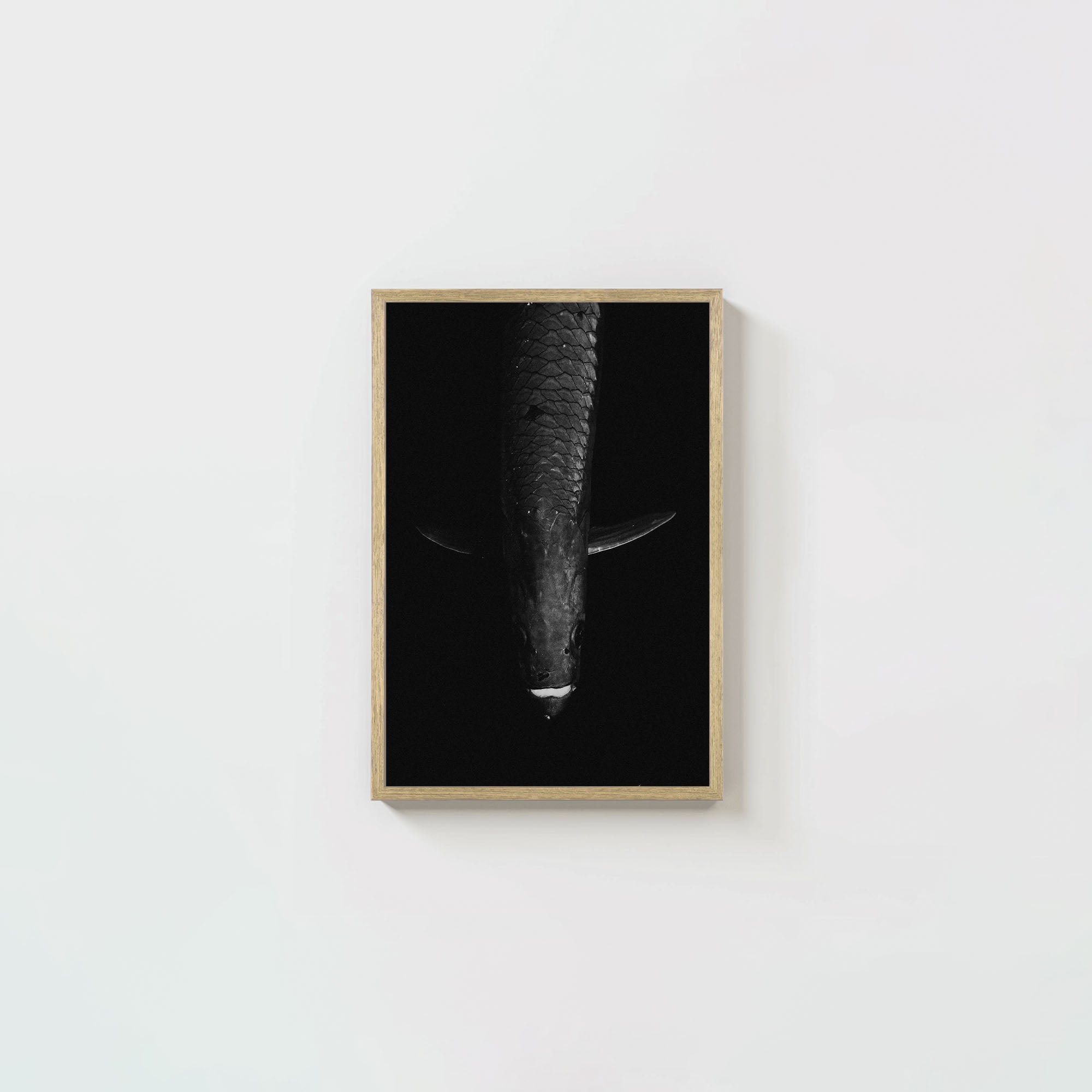 Tarpon: 'Dark Side Of The King' (6 Left!)