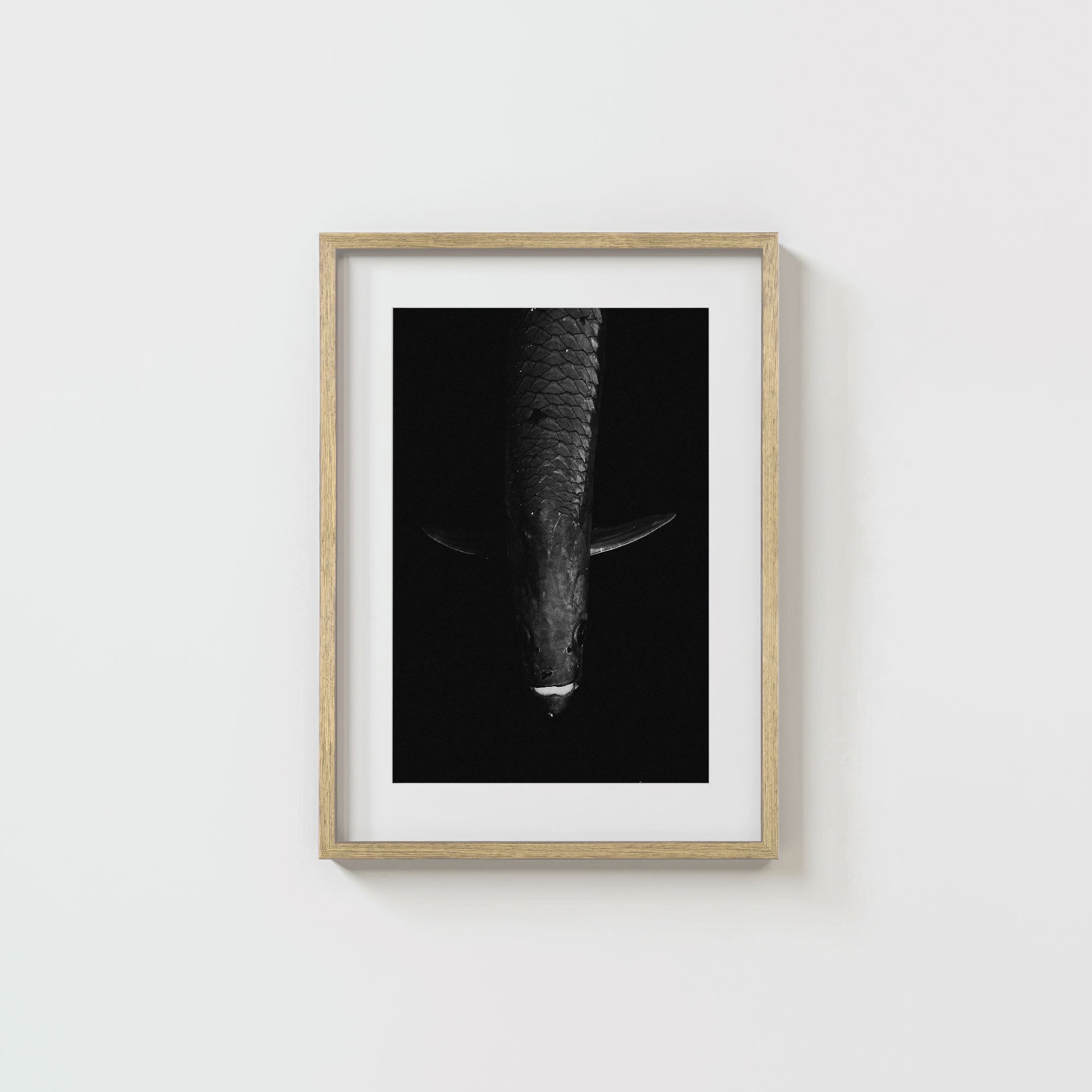 Tarpon: 'Dark Side Of The King' (6 Left!)