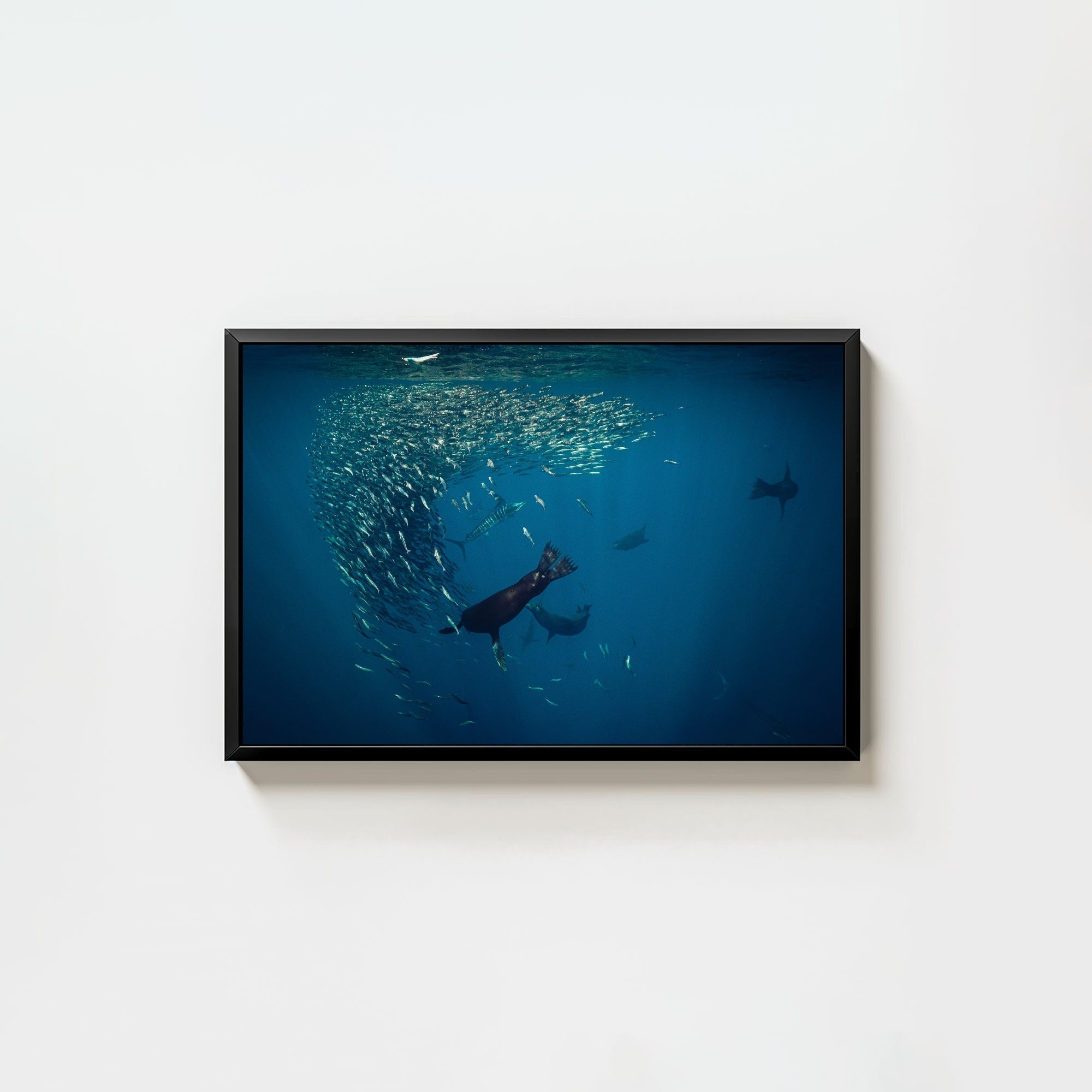 Mag Bay Tango: The Lion & The Spear