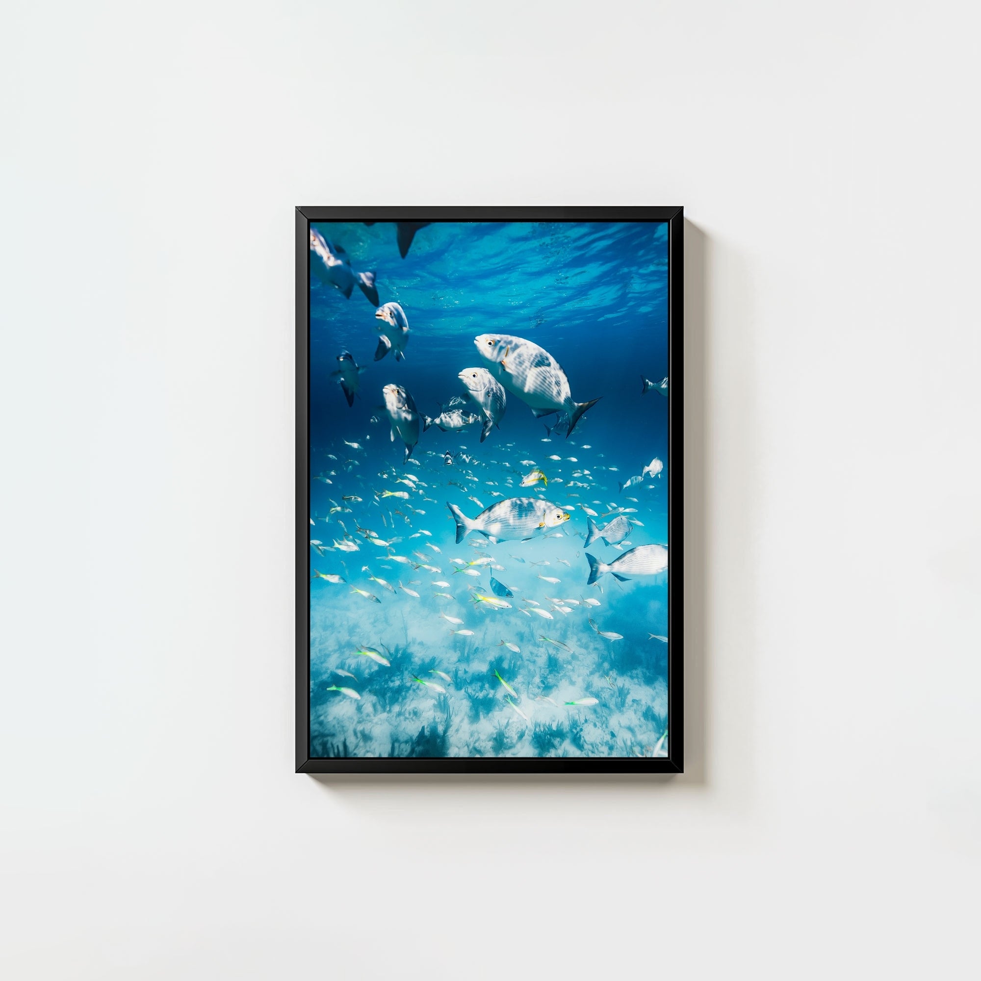 Colorful Current