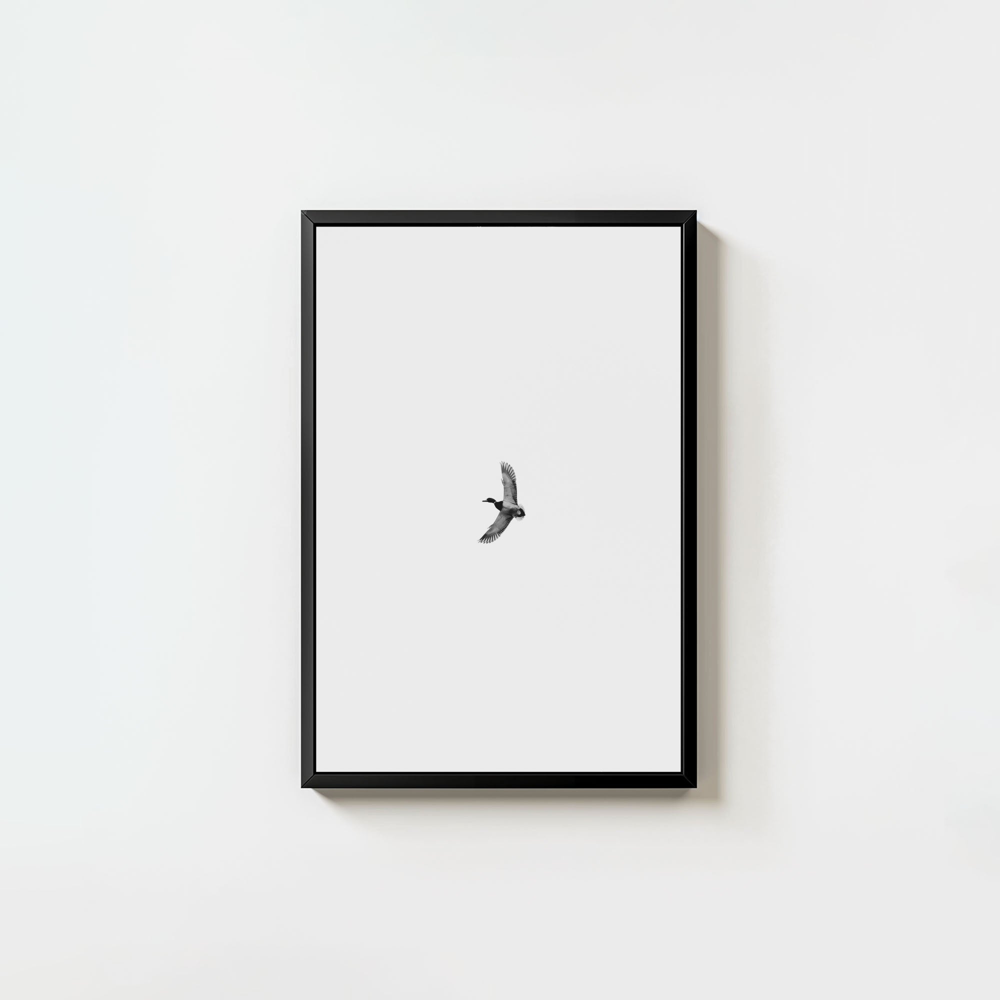 Greenhead