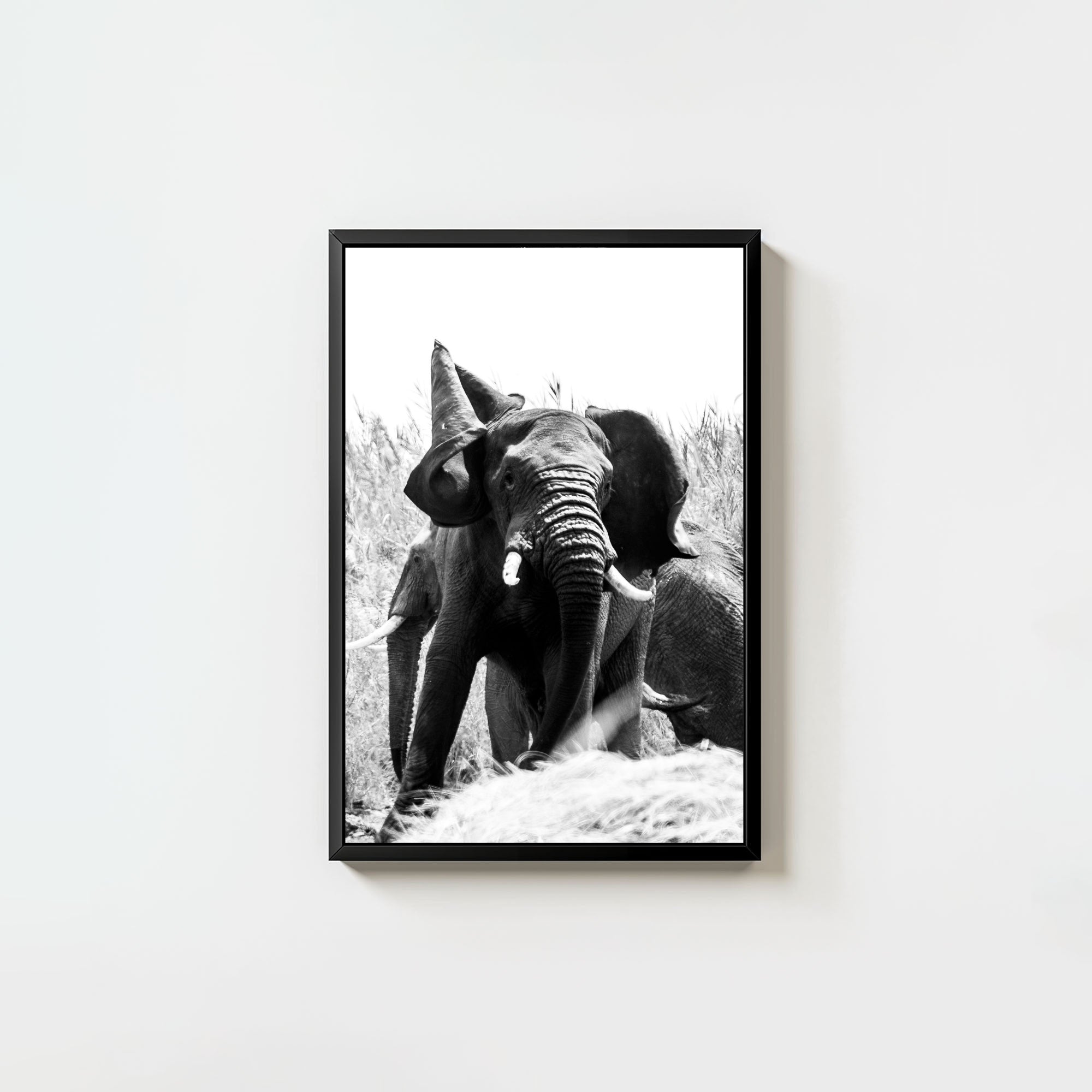 Tembo