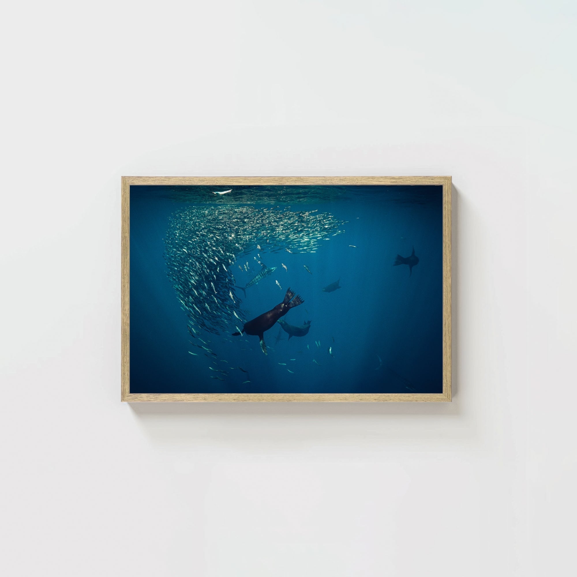 Mag Bay Tango: The Lion & The Spear