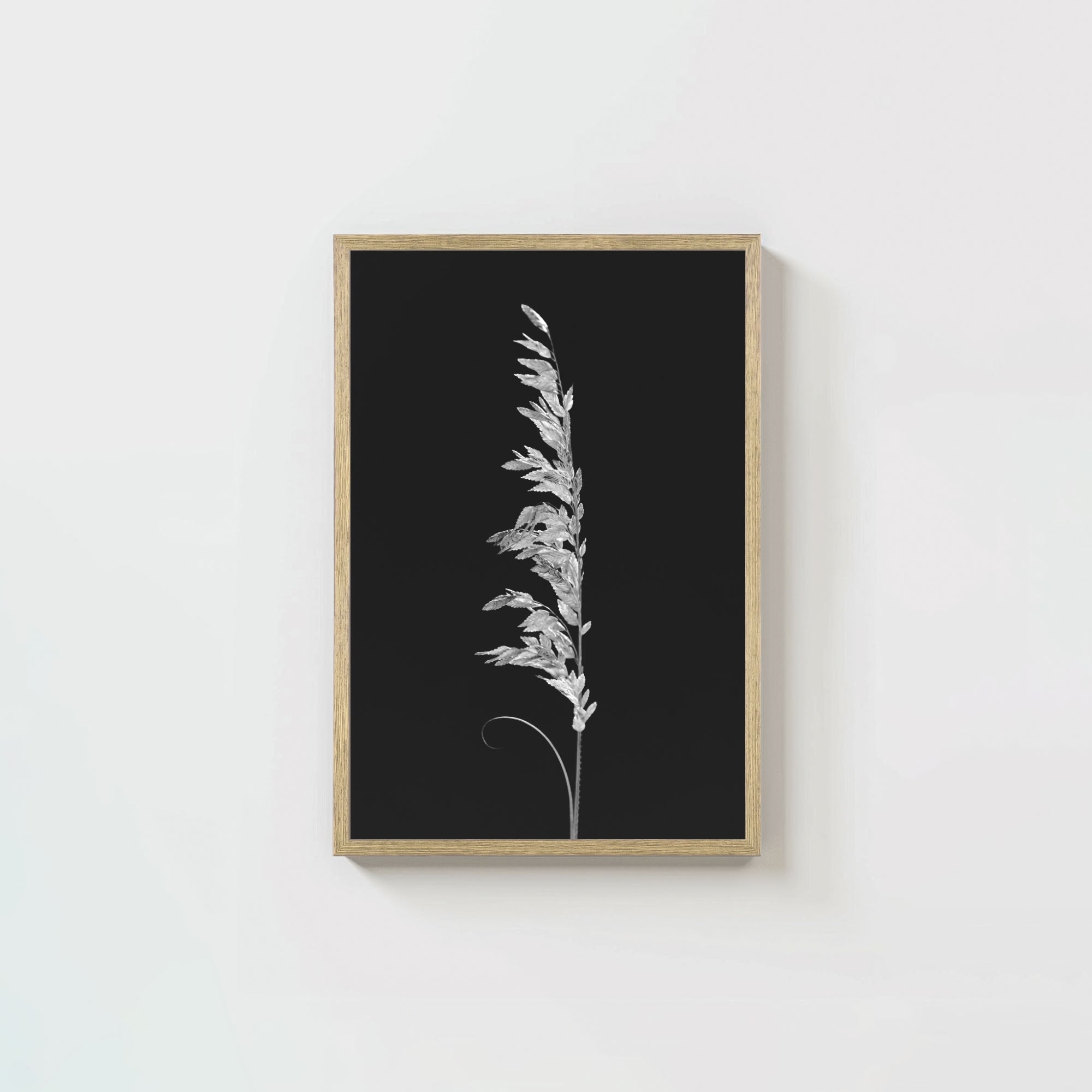 Wild Grain