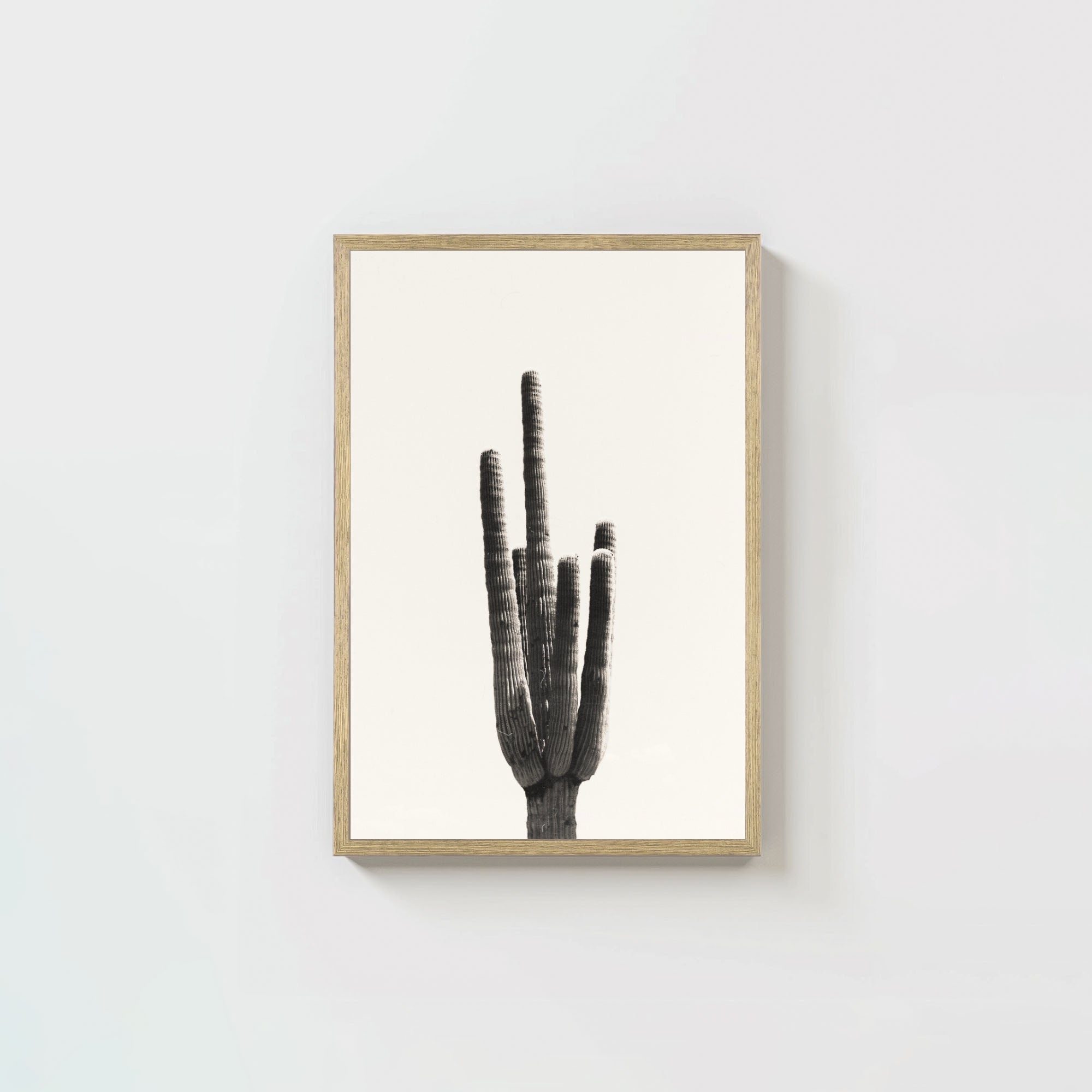 Cacti