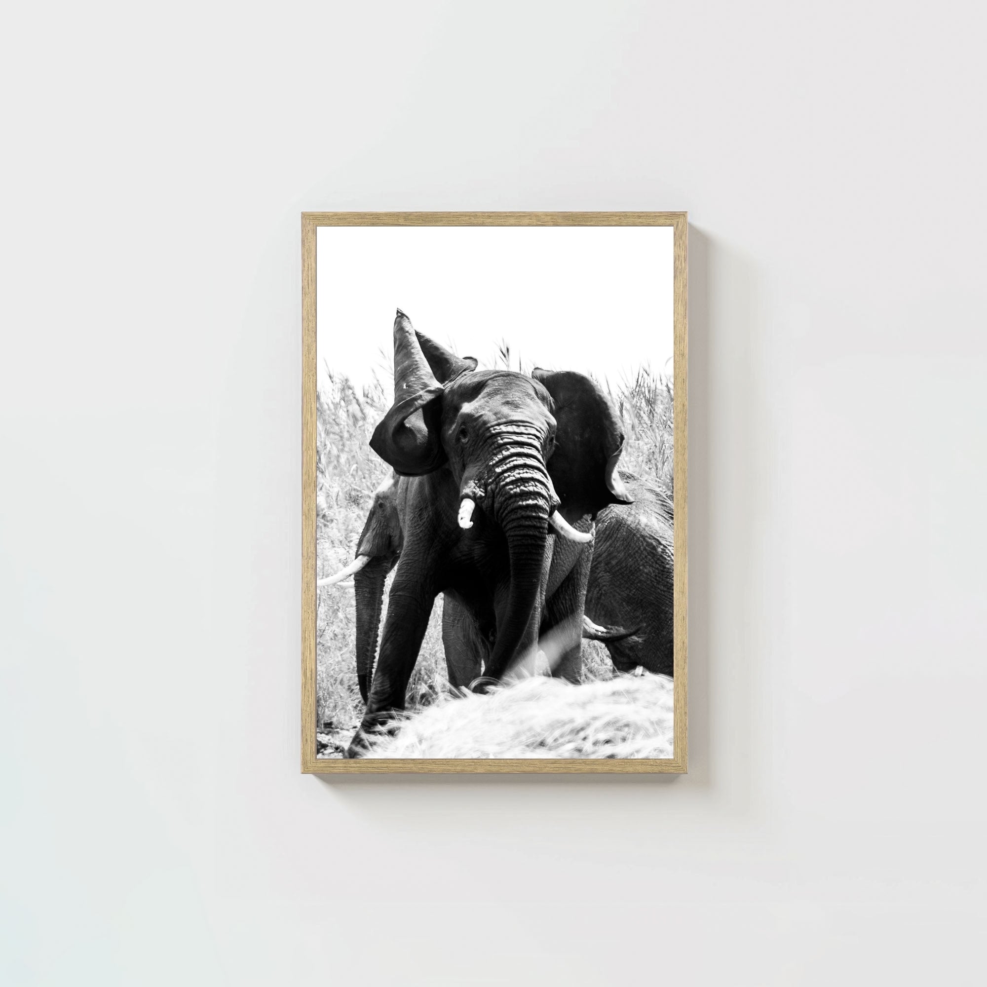 Tembo