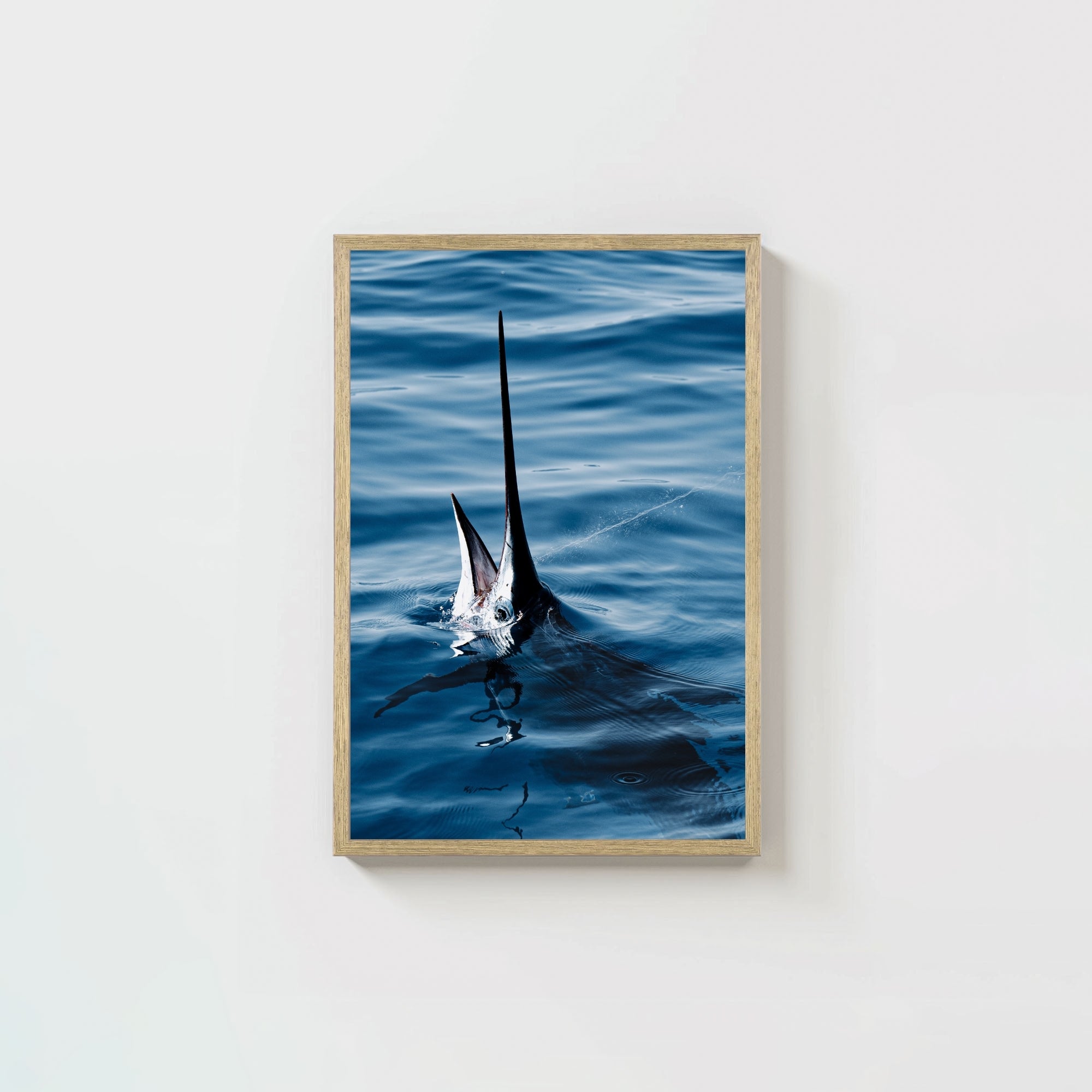 Sail Bite