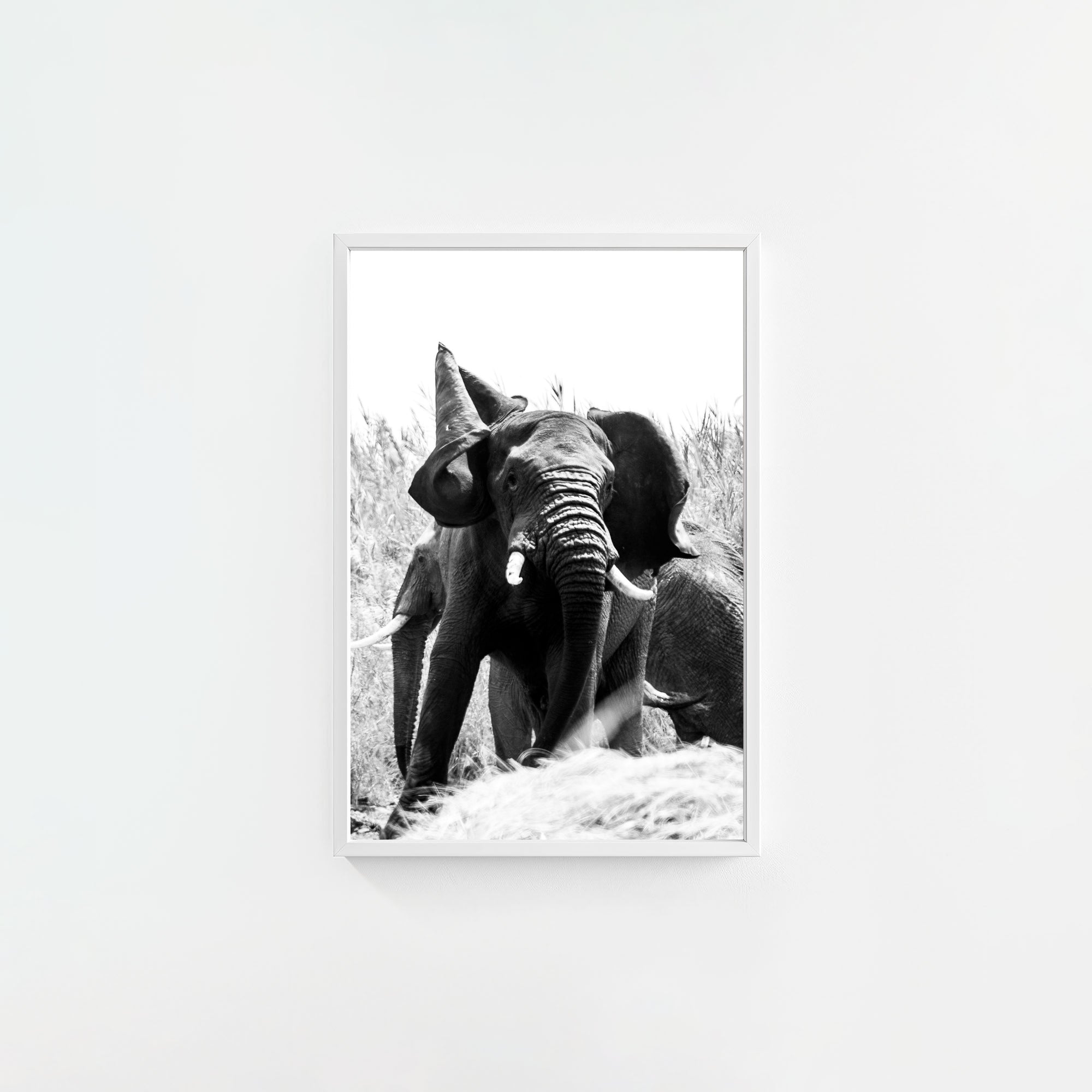 Tembo