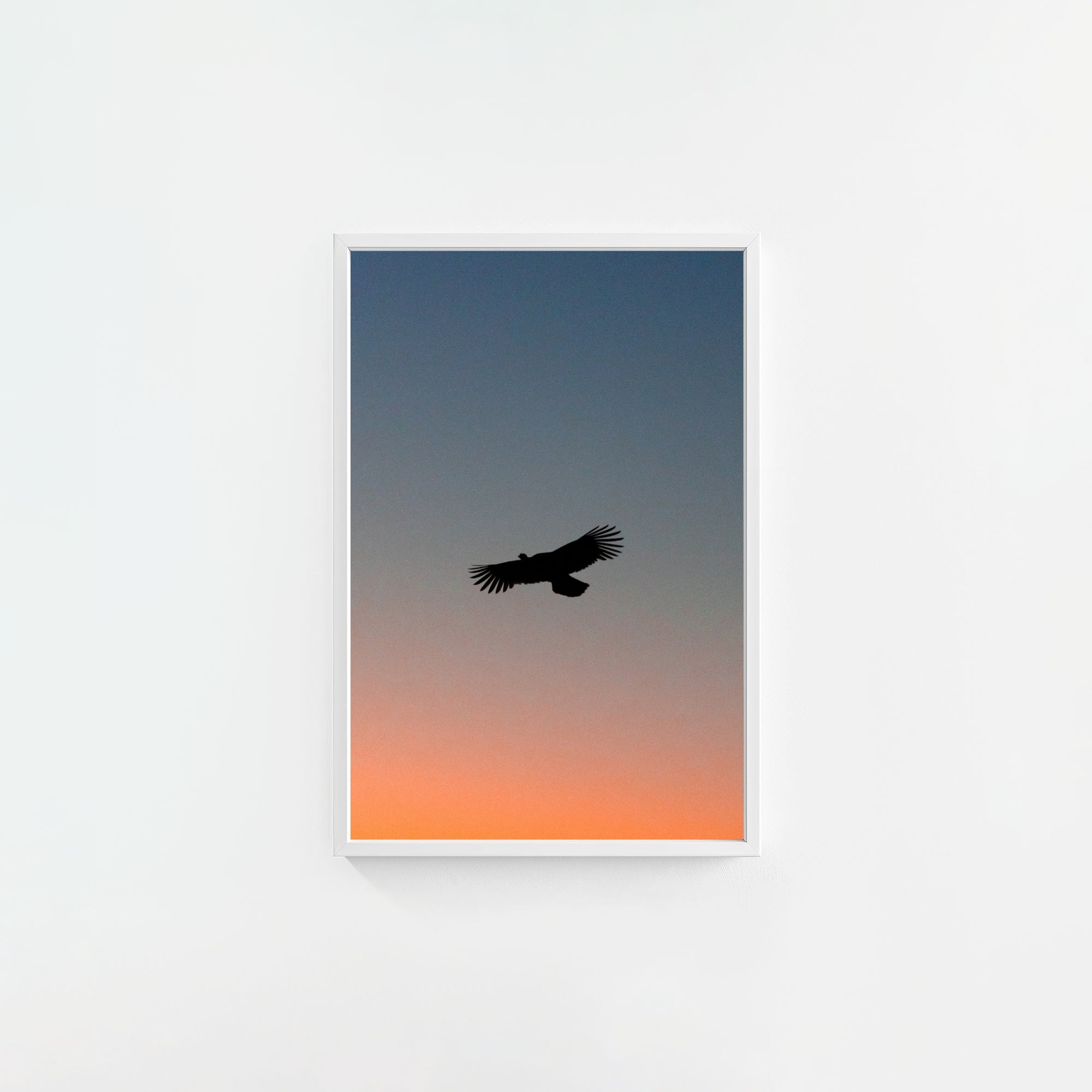 To The Roost