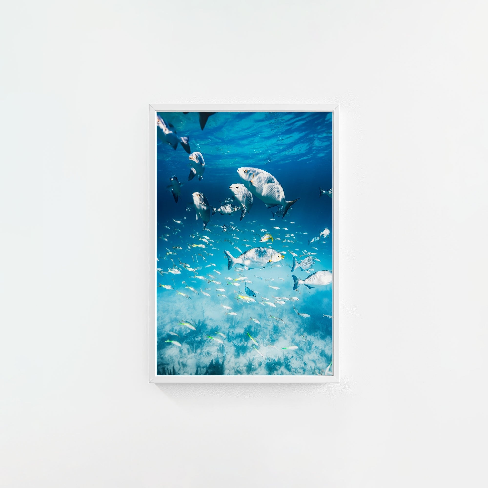Colorful Current