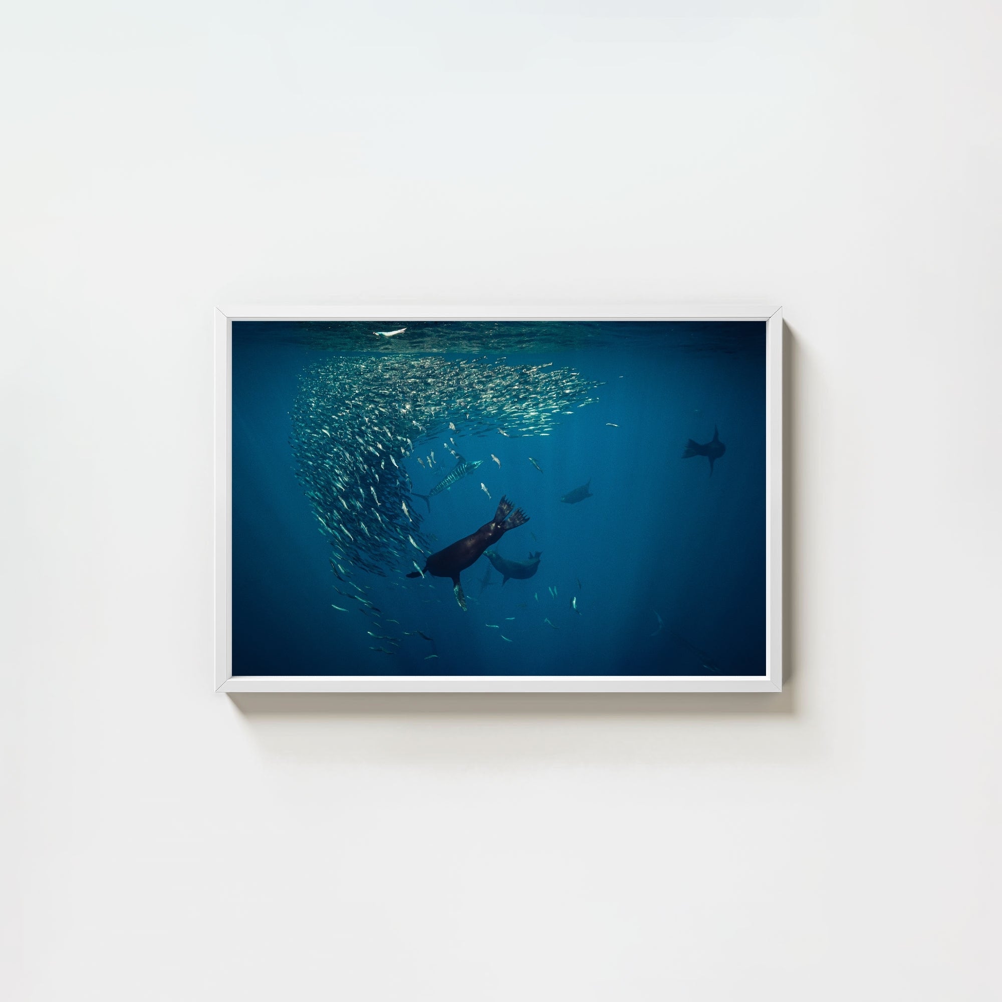 Mag Bay Tango: The Lion & The Spear