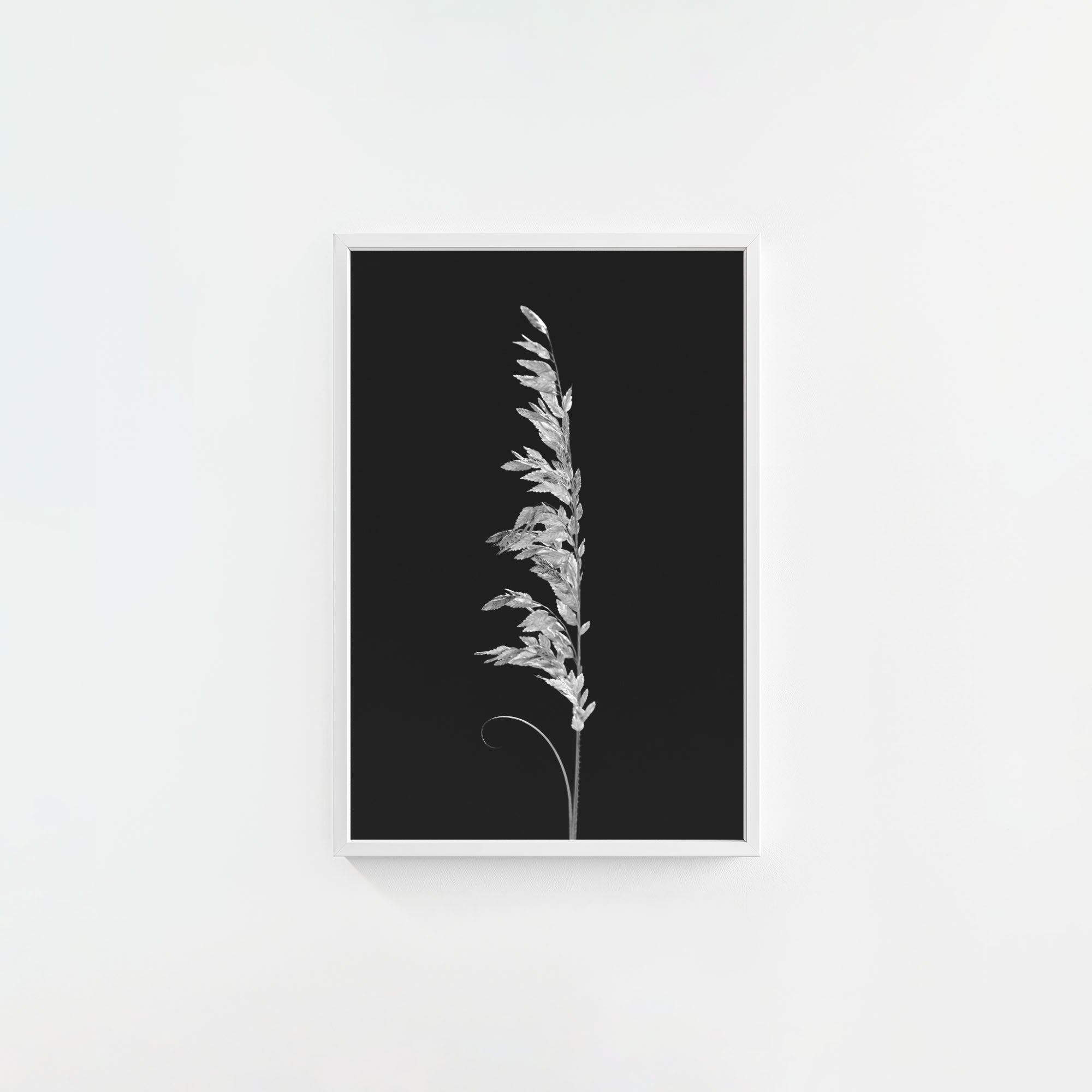 Wild Grain