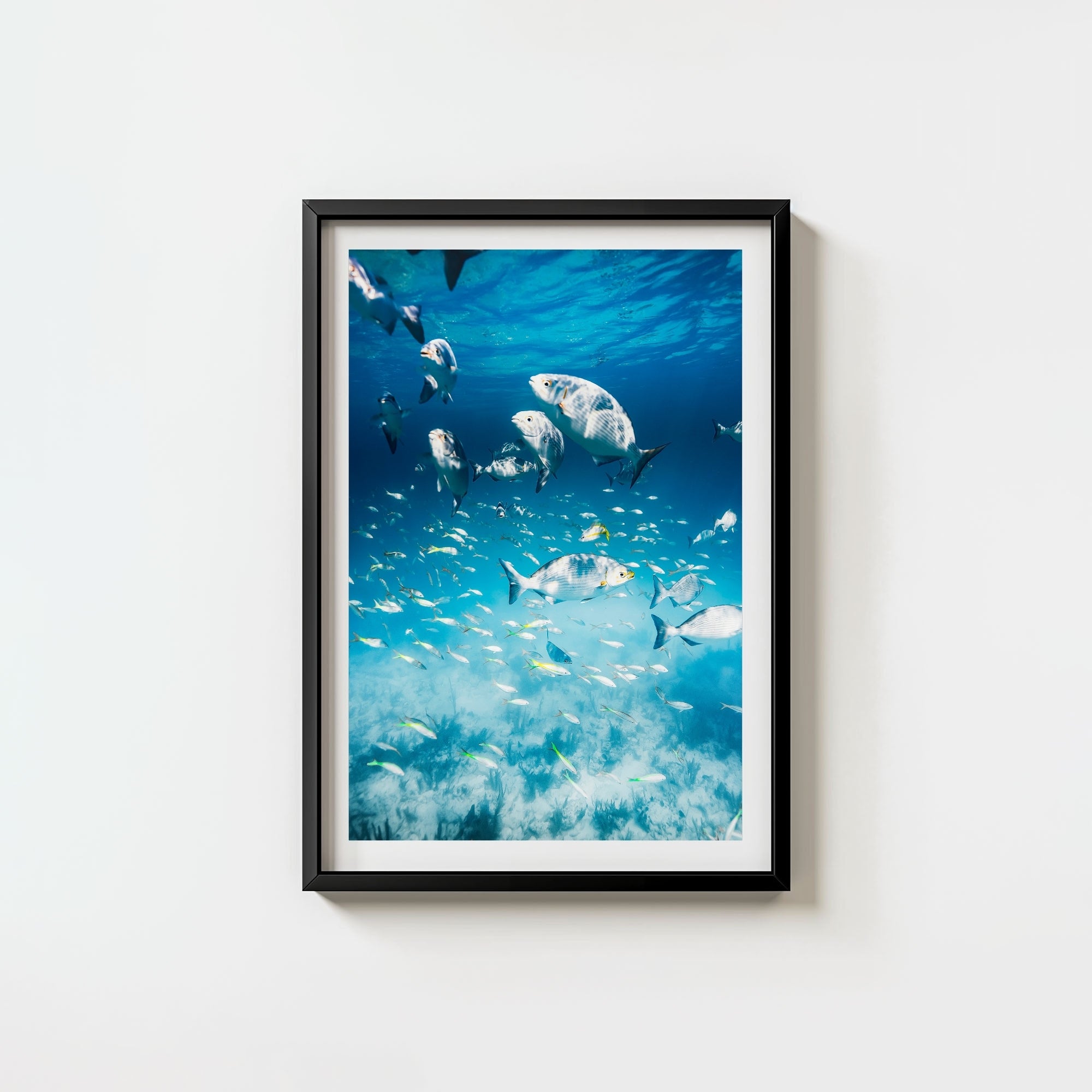 Colorful Current