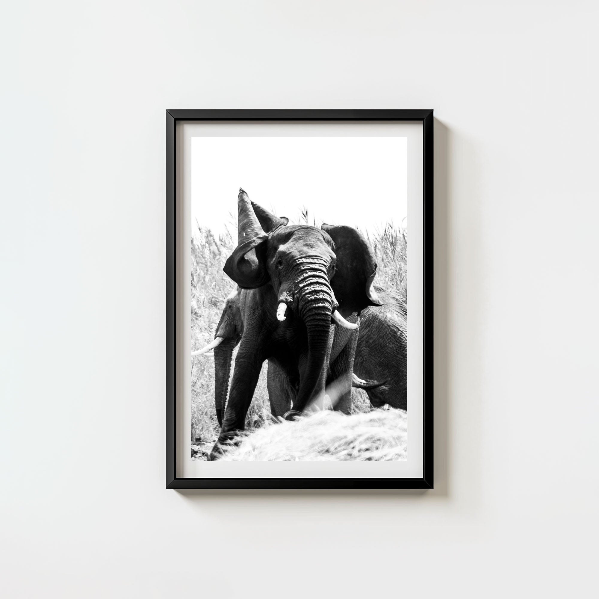 Tembo