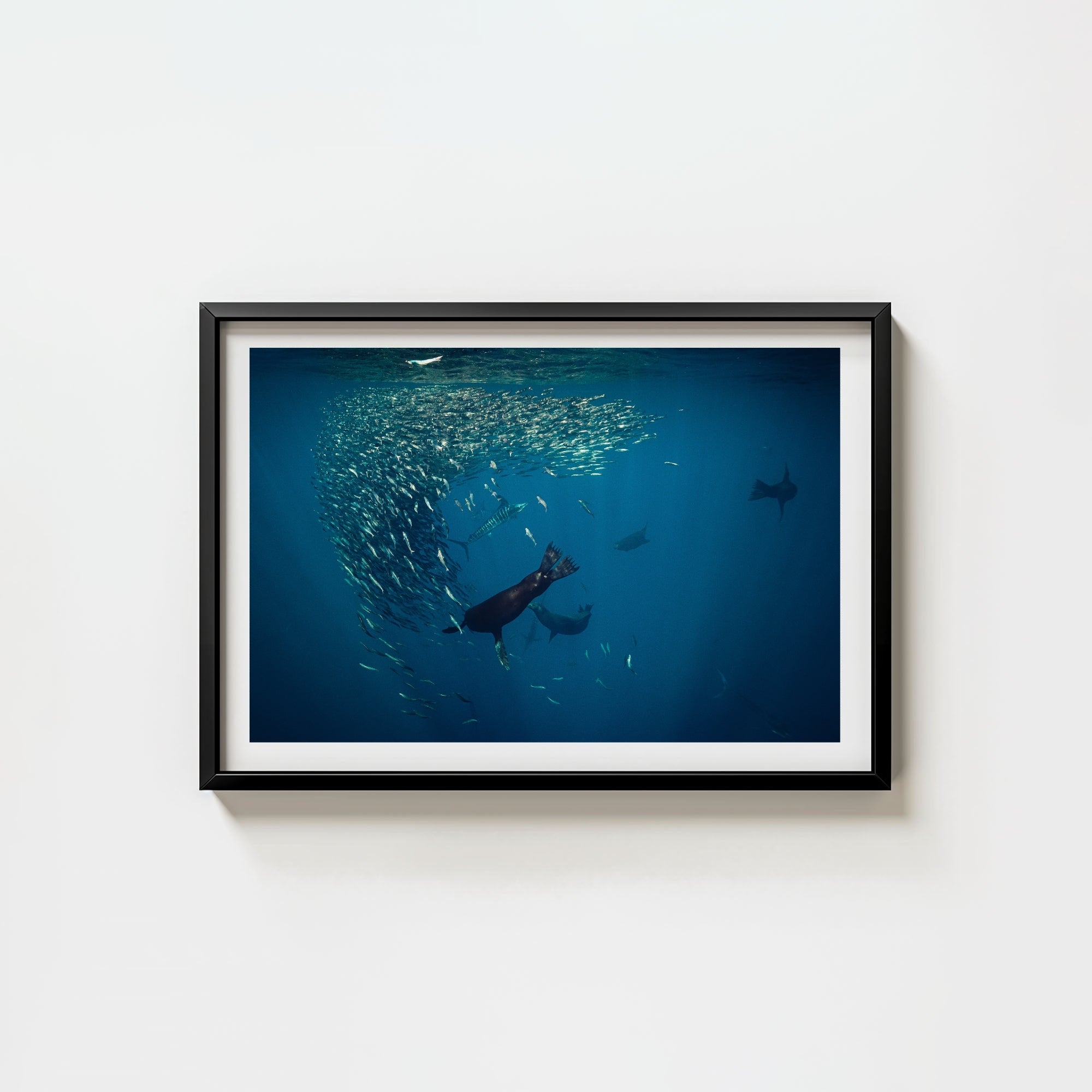 Mag Bay Tango: The Lion & The Spear