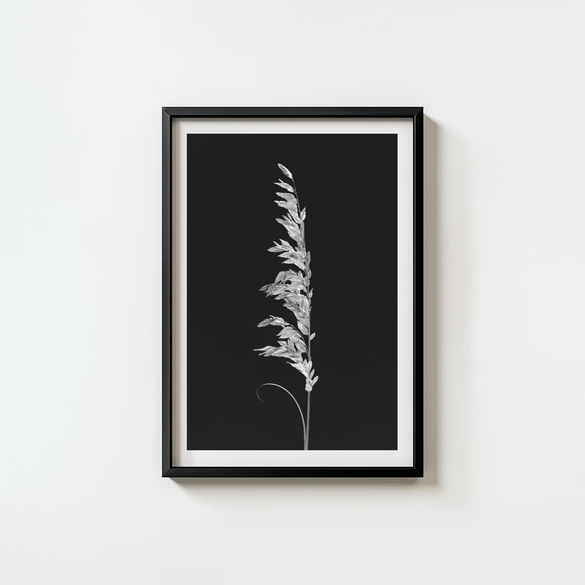 Wild Grain