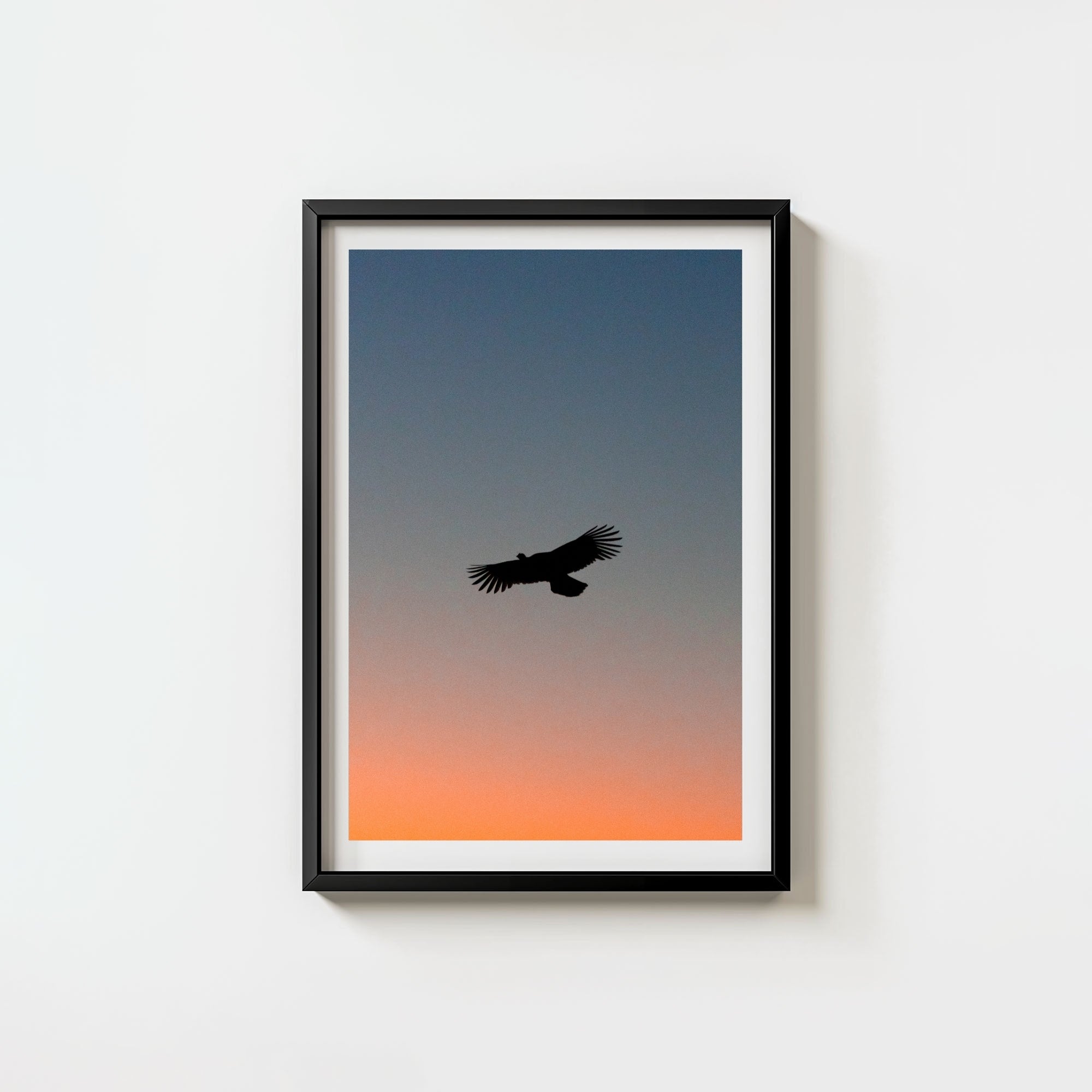To The Roost