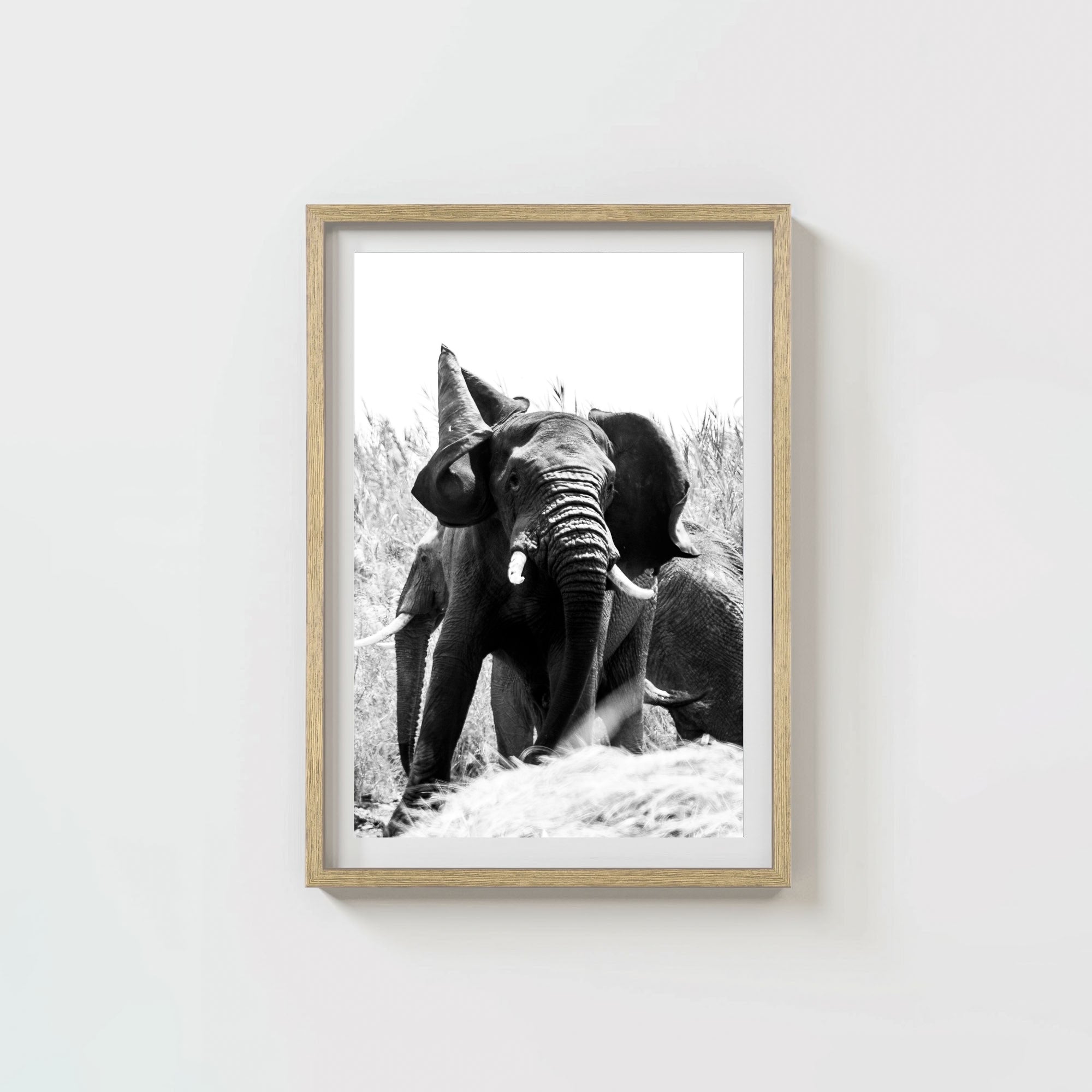 Tembo
