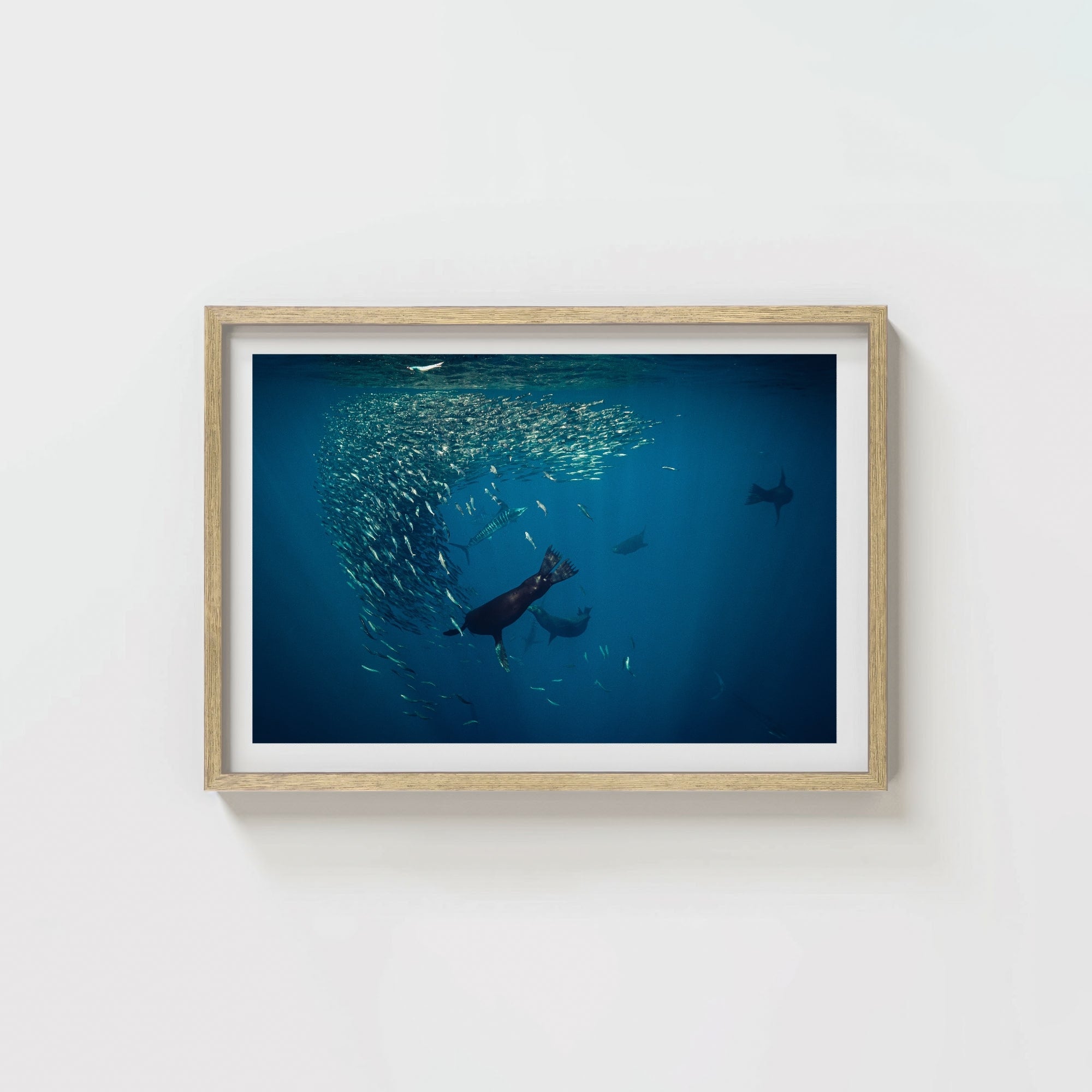 Mag Bay Tango: The Lion & The Spear