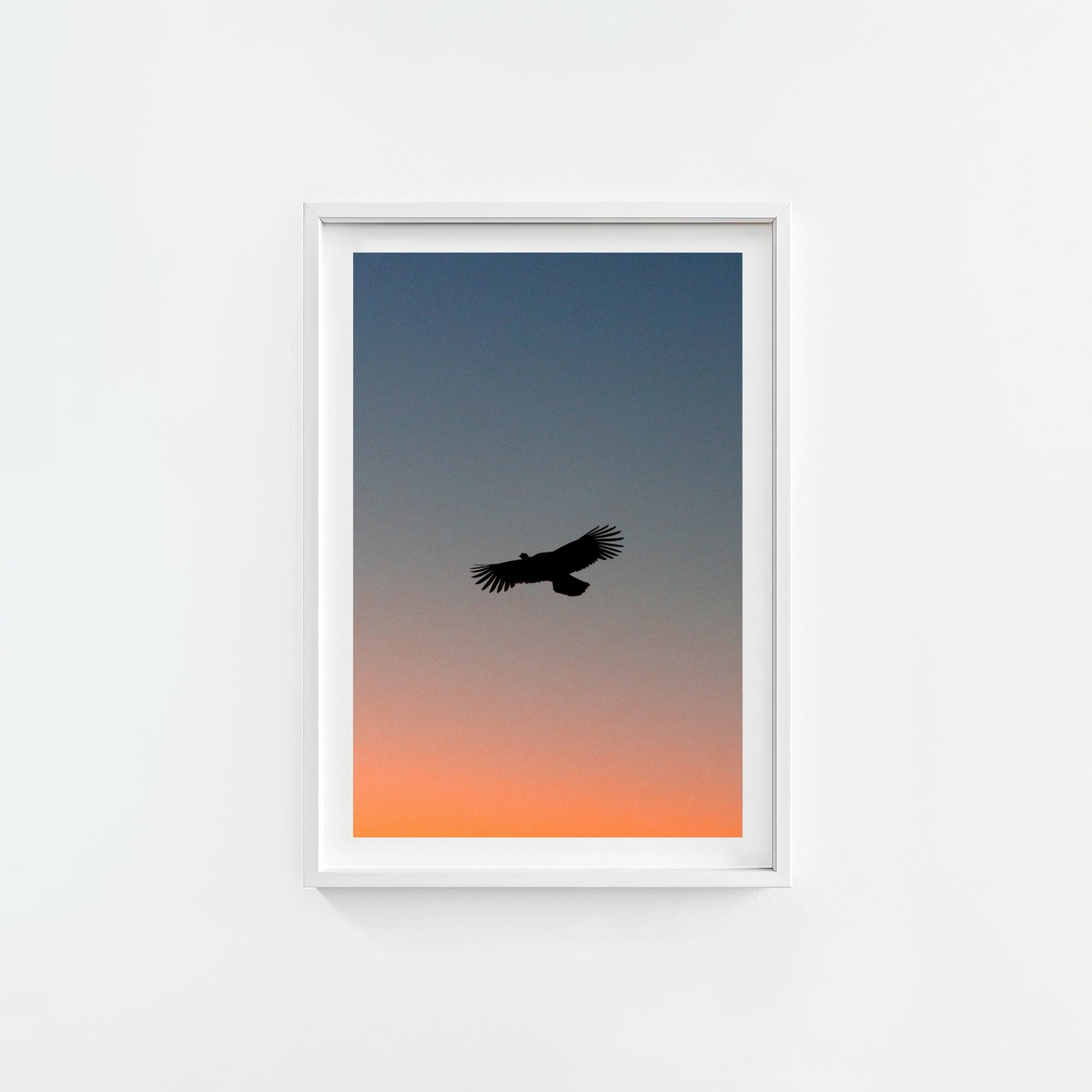 To The Roost
