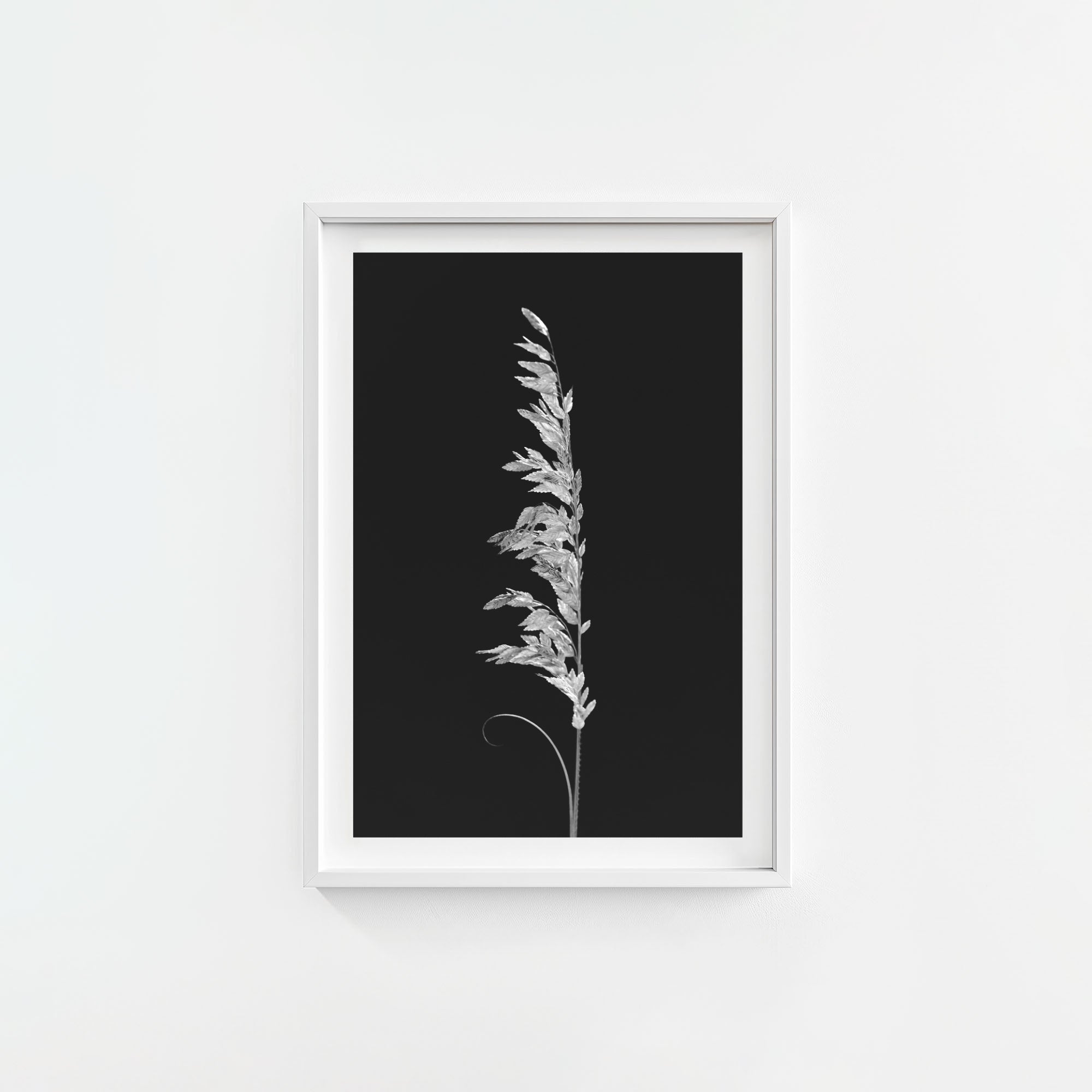 Wild Grain