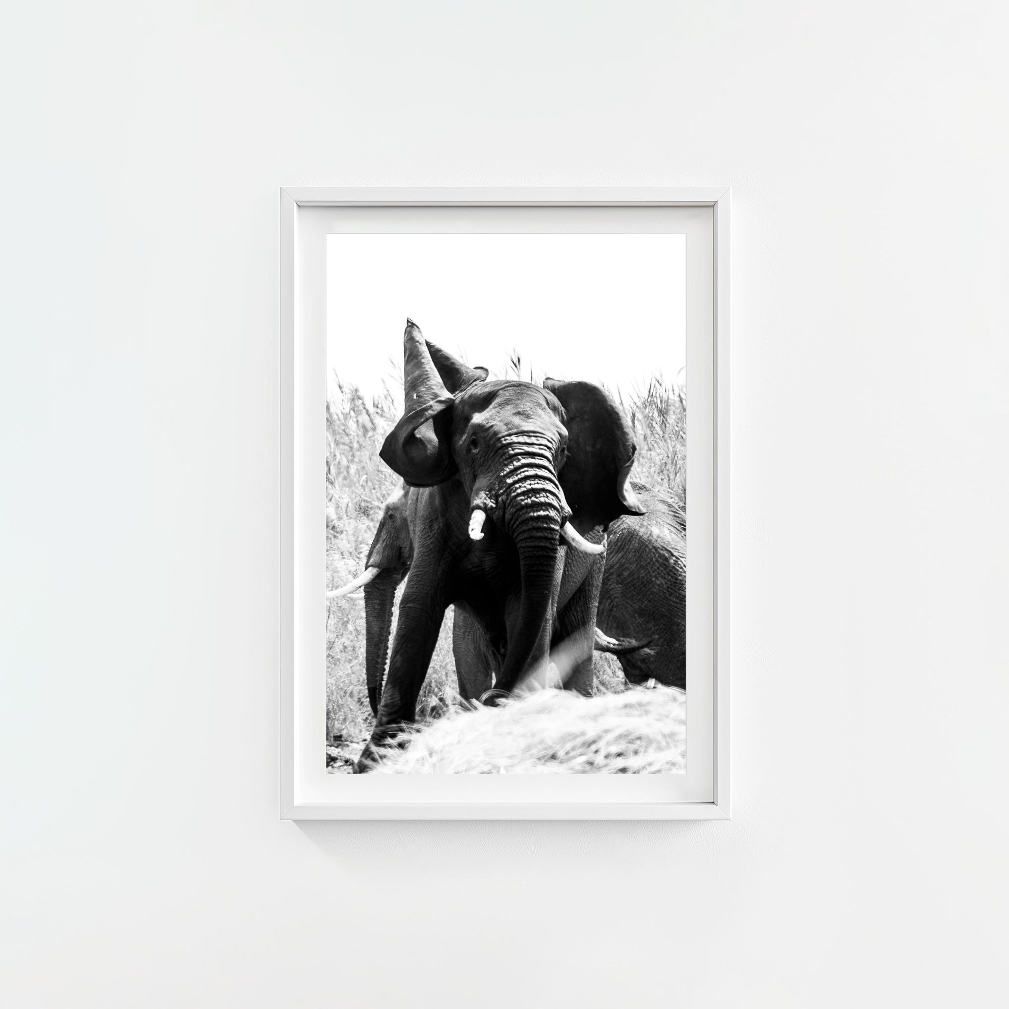 Tembo