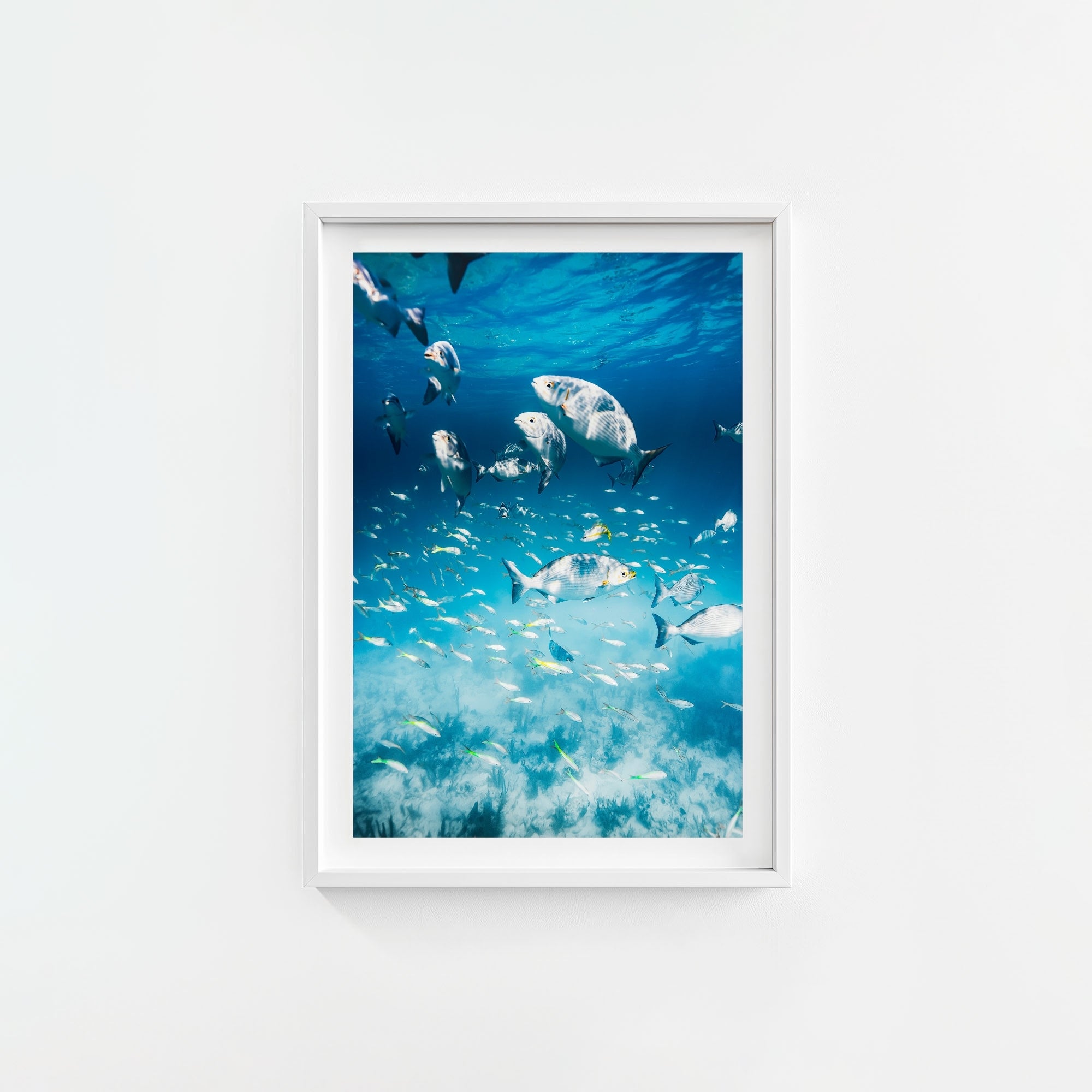 Colorful Current