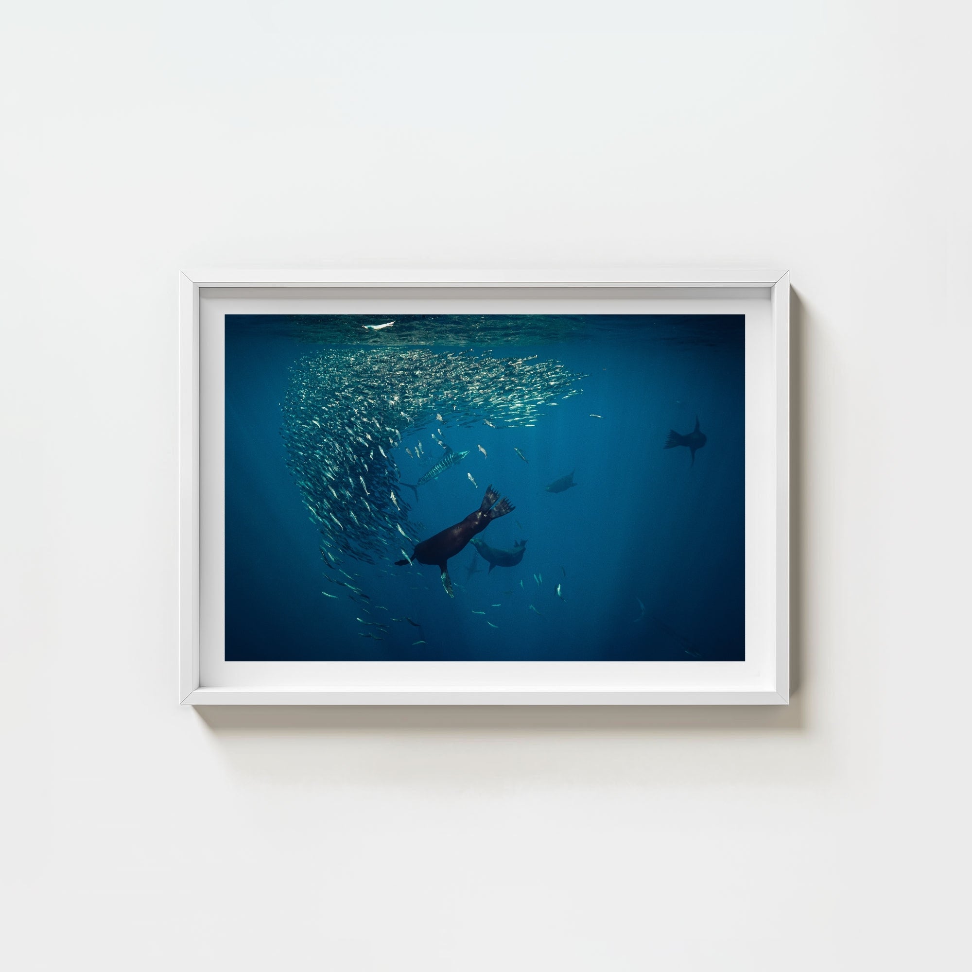 Mag Bay Tango: The Lion & The Spear