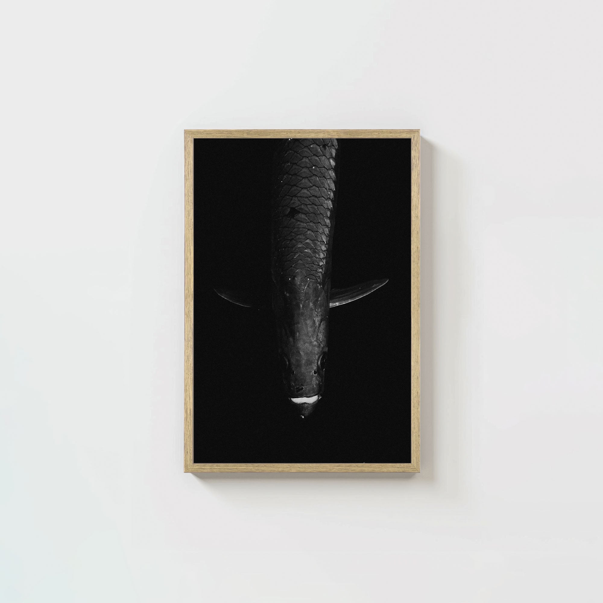 Tarpon: 'Dark Side Of The King' (6 Left!)