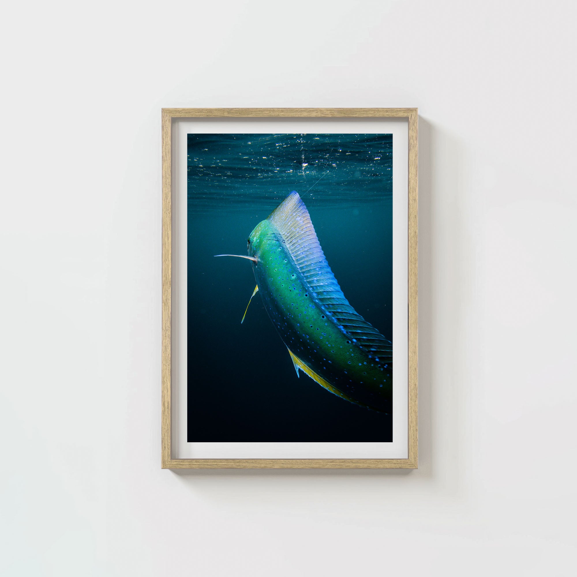 Neon Taco