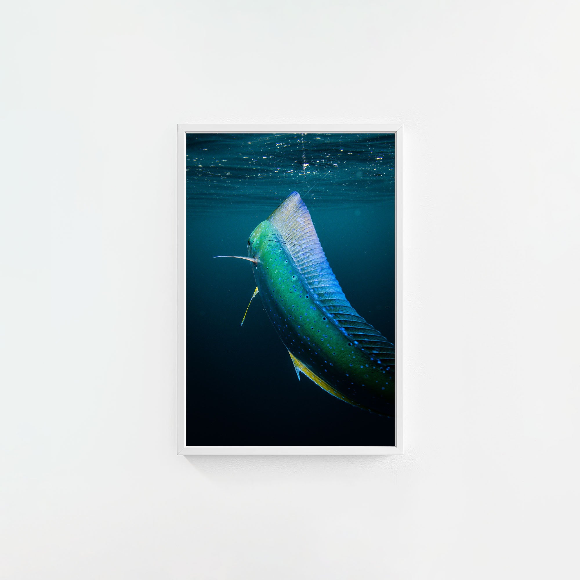 Neon Taco