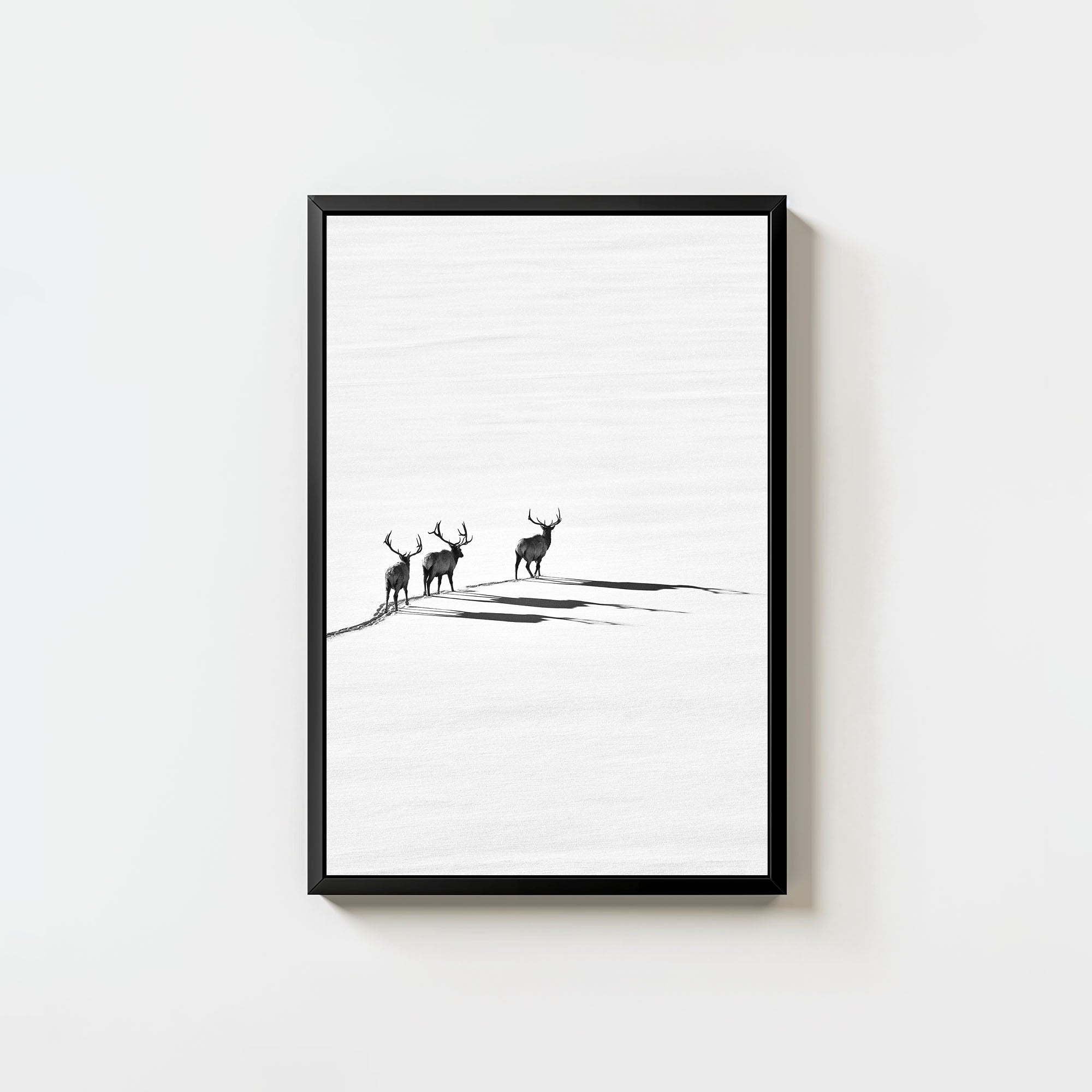 Bull Elk Crossing (6 Left!)