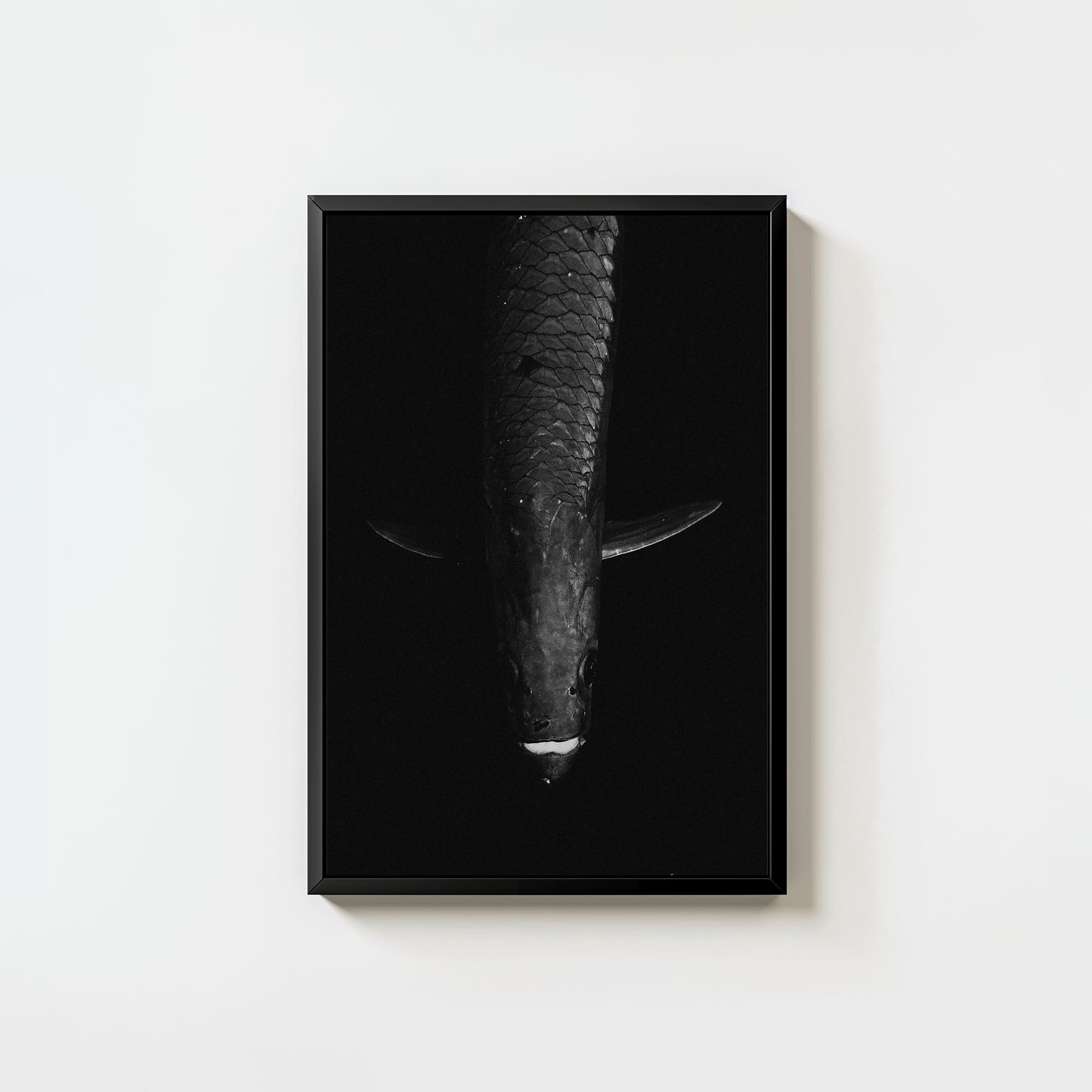 Tarpon: 'Dark Side Of The King' (6 Left!)