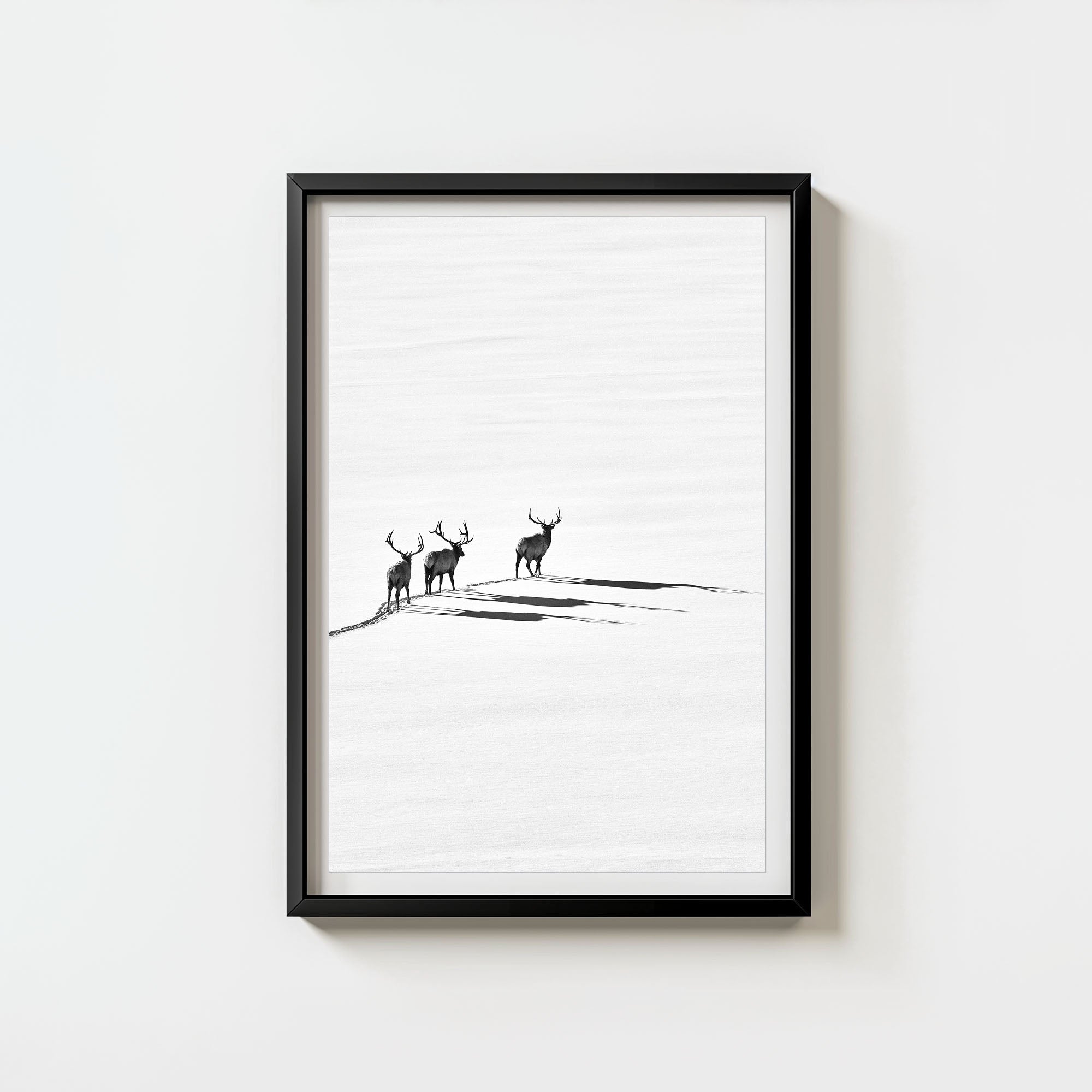 Bull Elk Crossing (6 Left!)