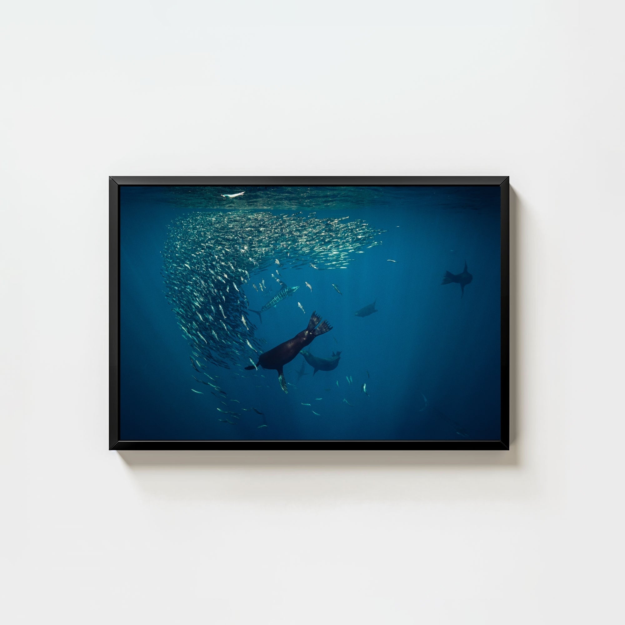 Mag Bay Tango: The Lion & The Spear