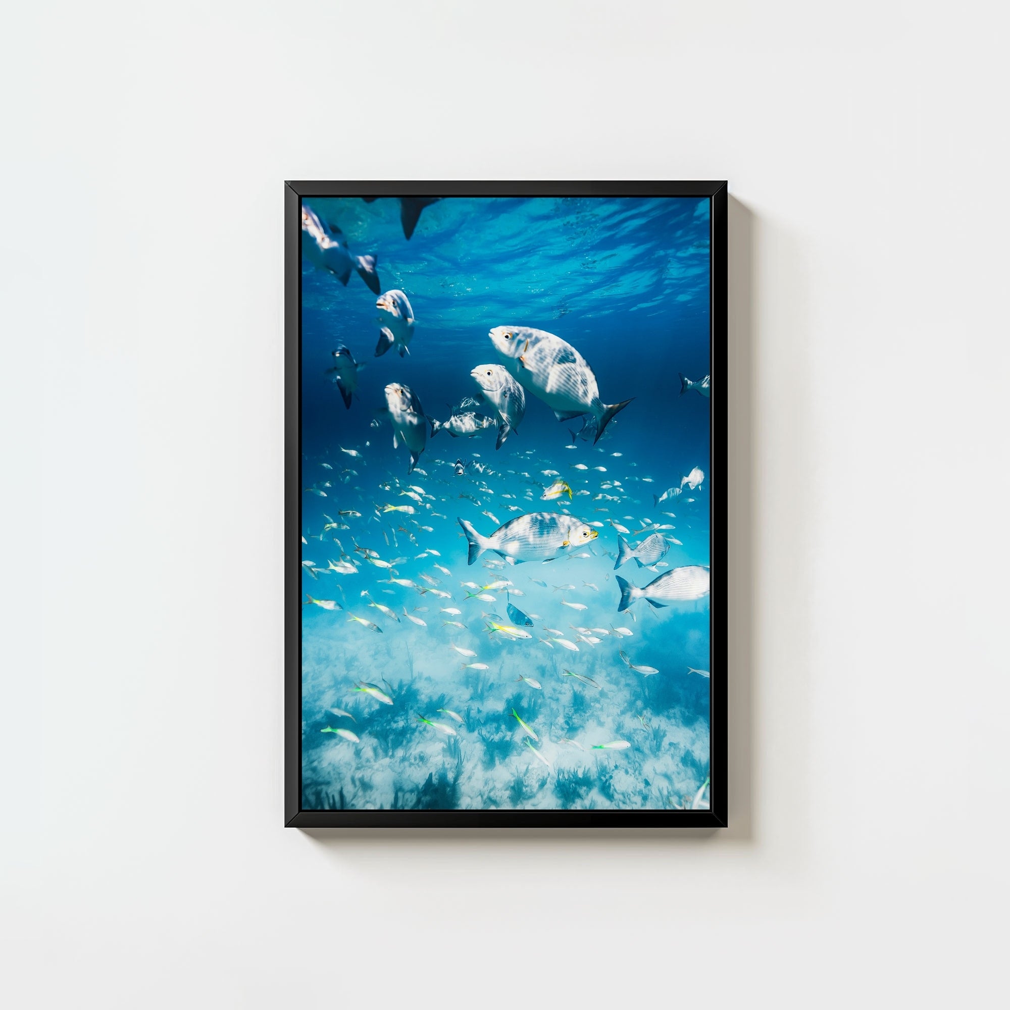 Colorful Current