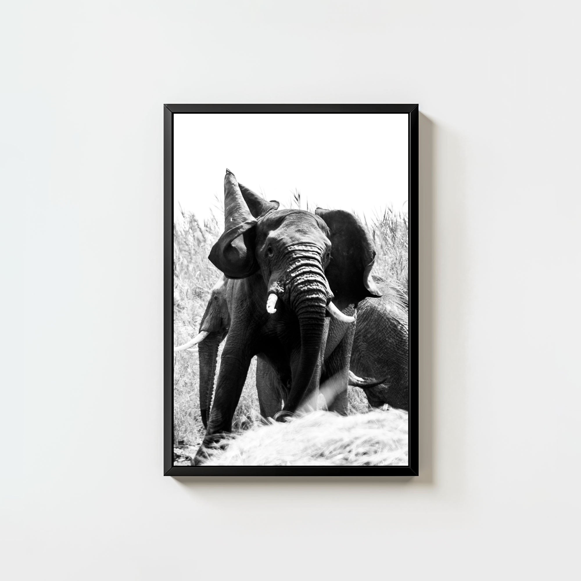 Tembo