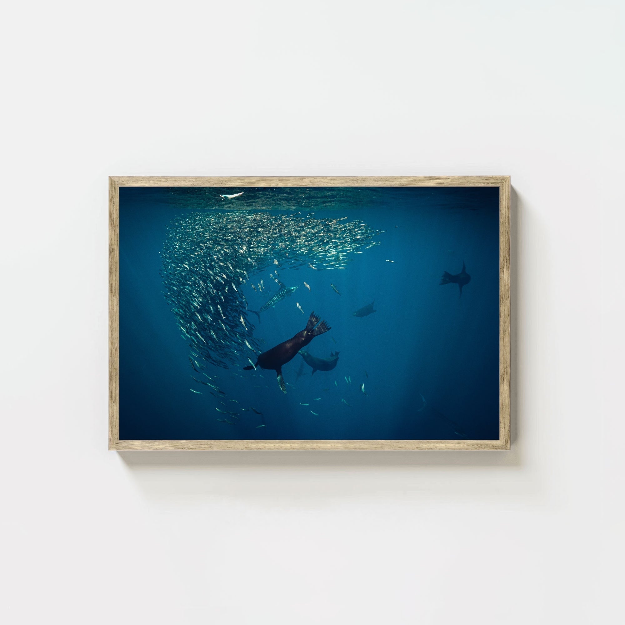 Mag Bay Tango: The Lion & The Spear